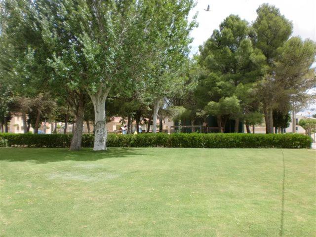 Photo 33