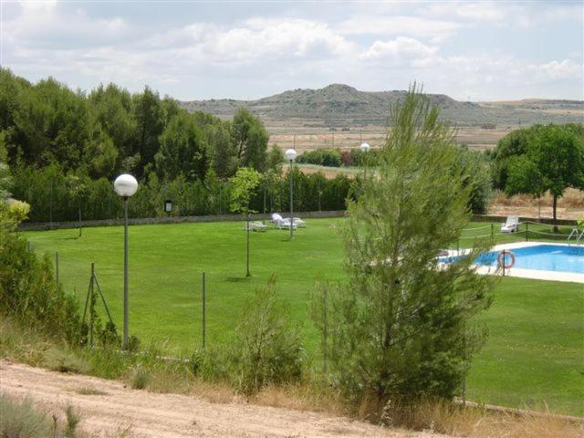 Photo 38