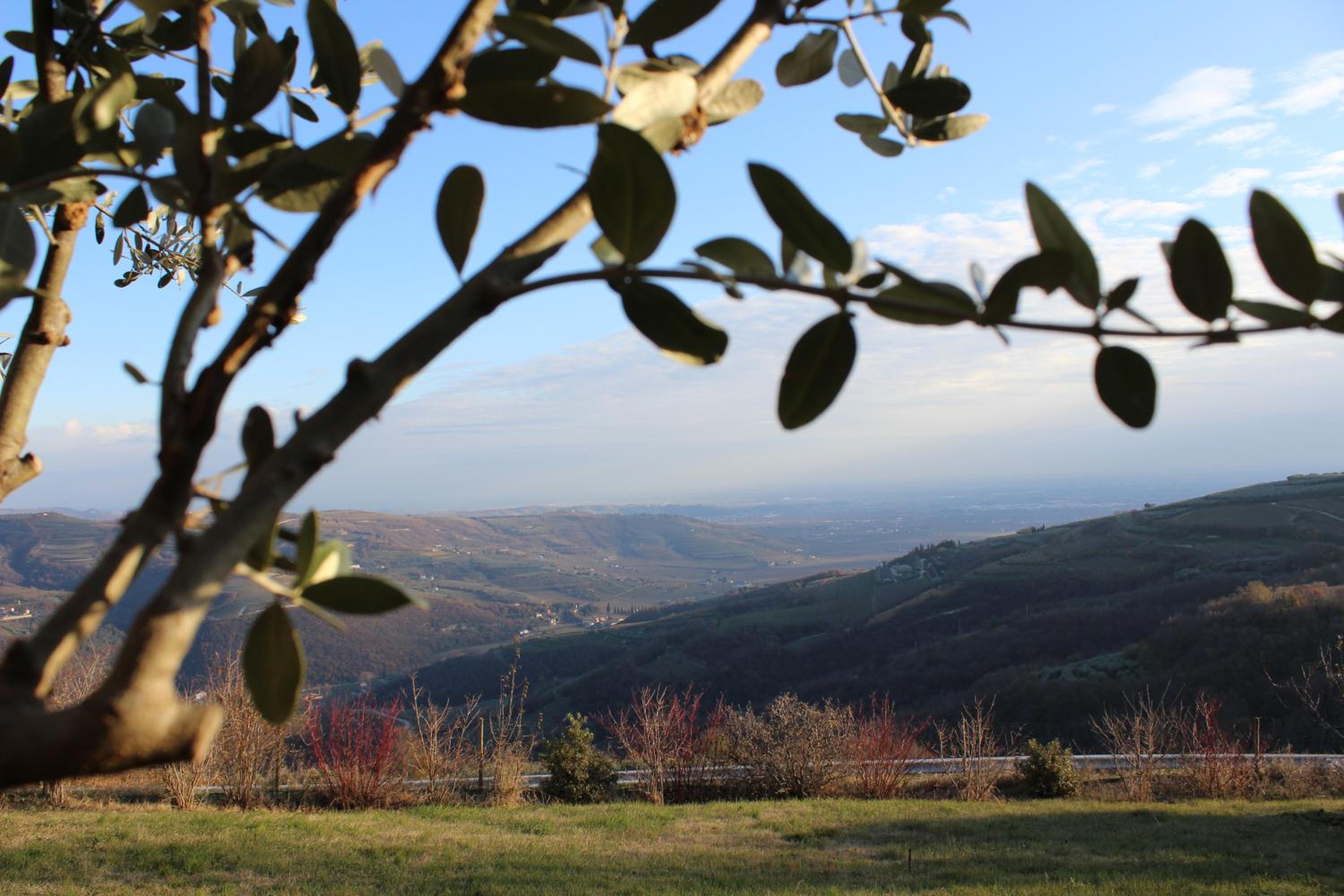 Podere Castagne