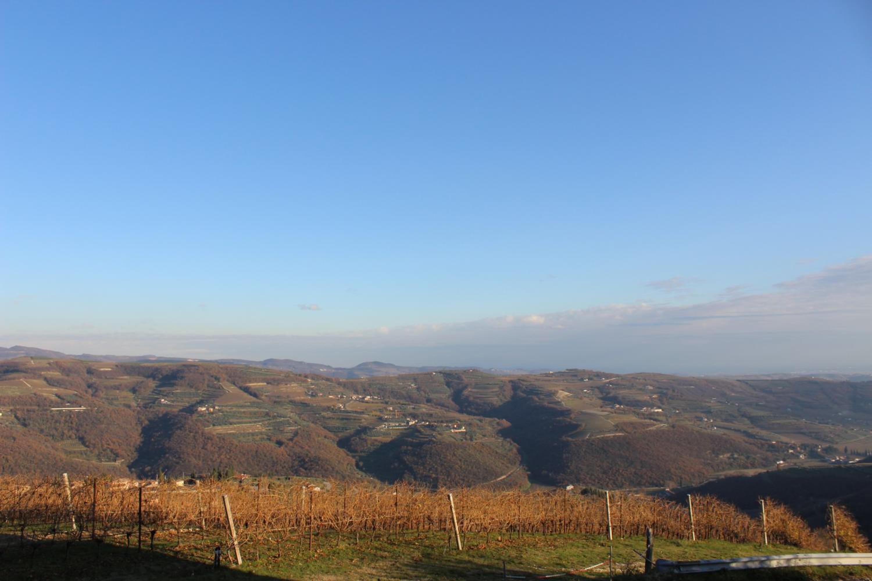 Podere Castagne