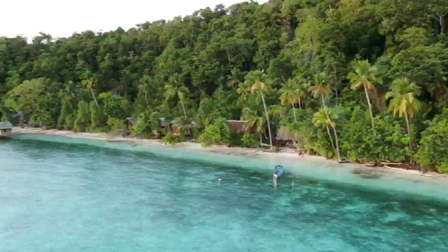 Turtle Dive Homestay view 4