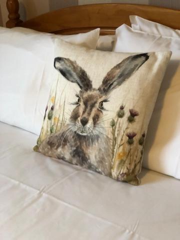 The Firs at Hay-on-Wye B&B 32