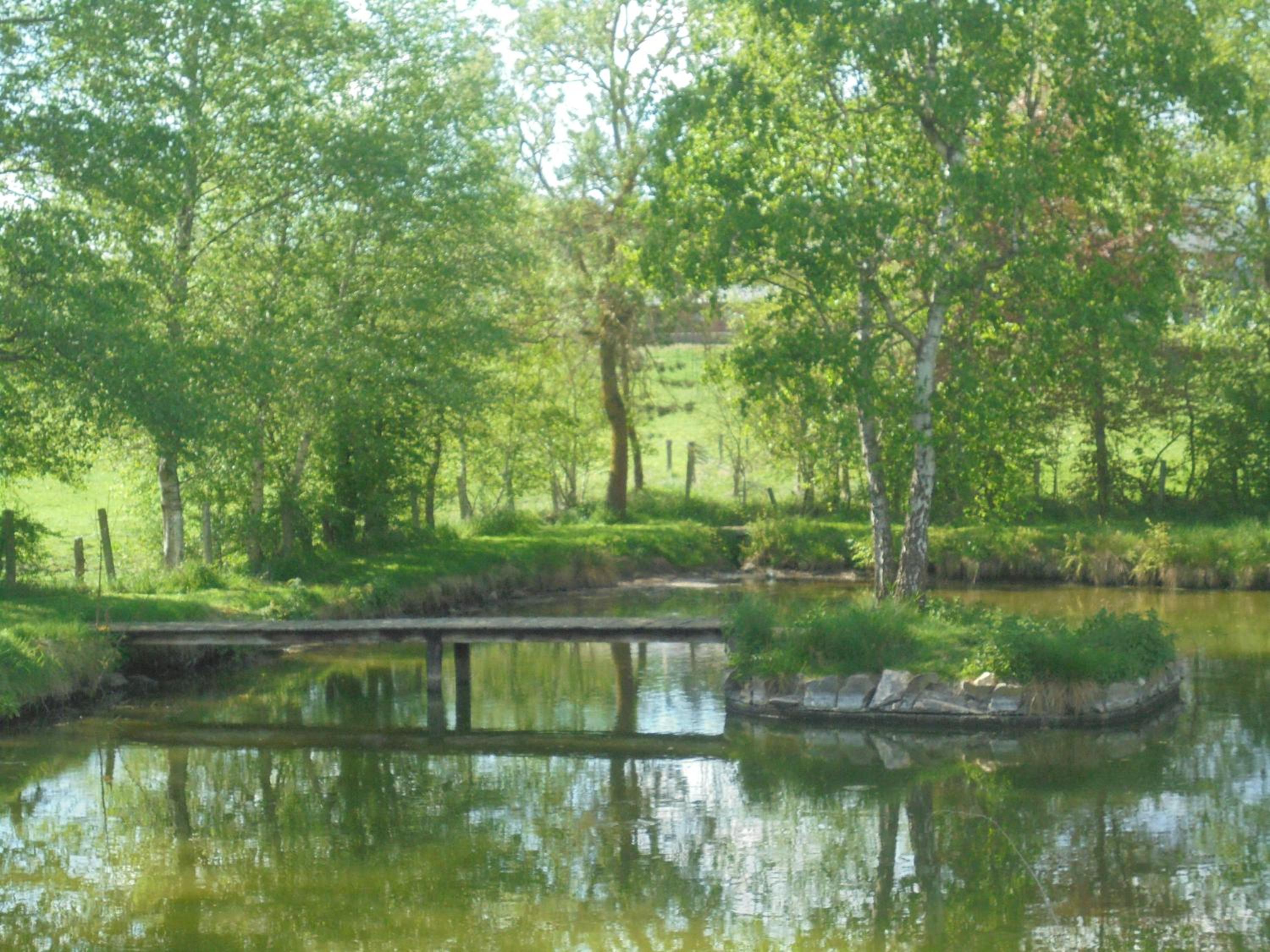 Au bord de l'Eau