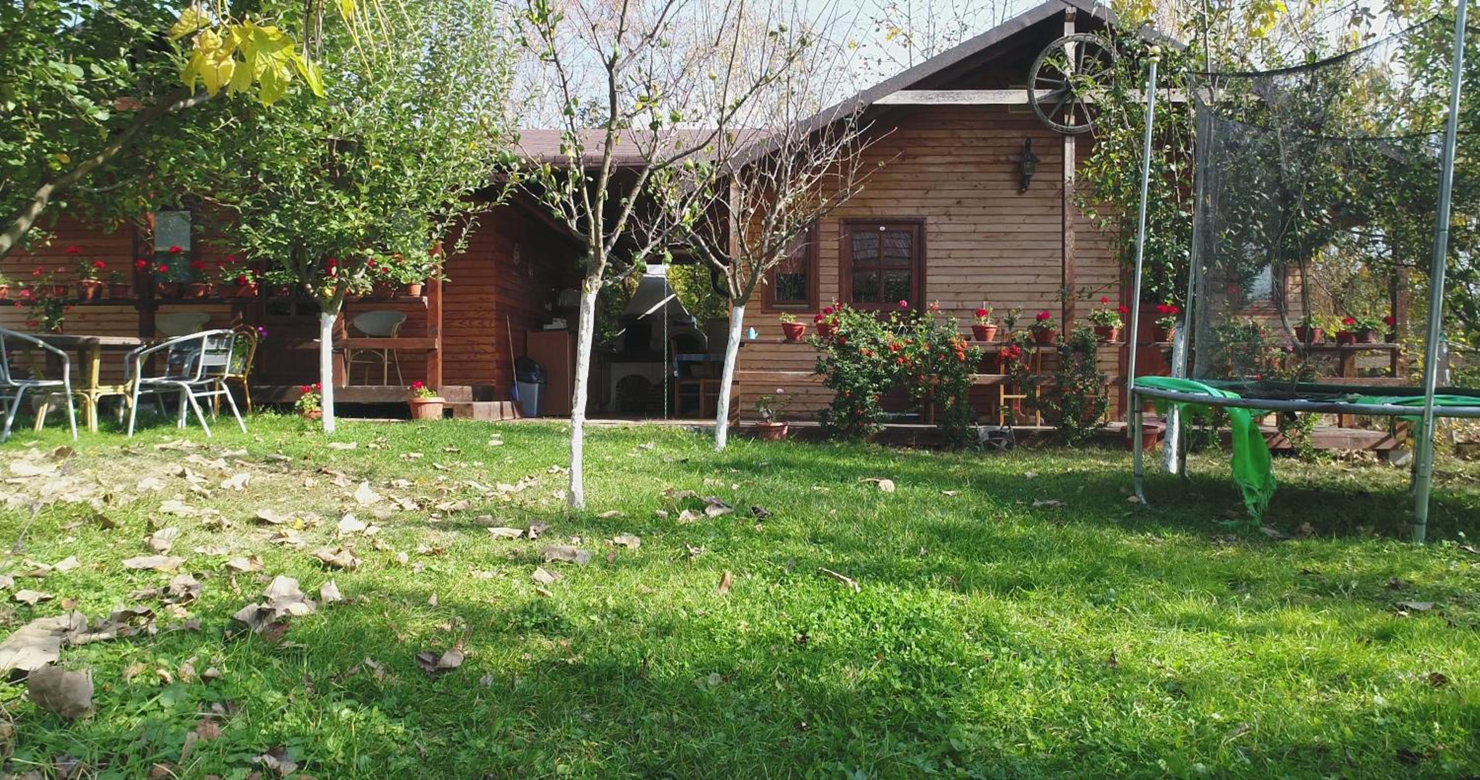Photo 45