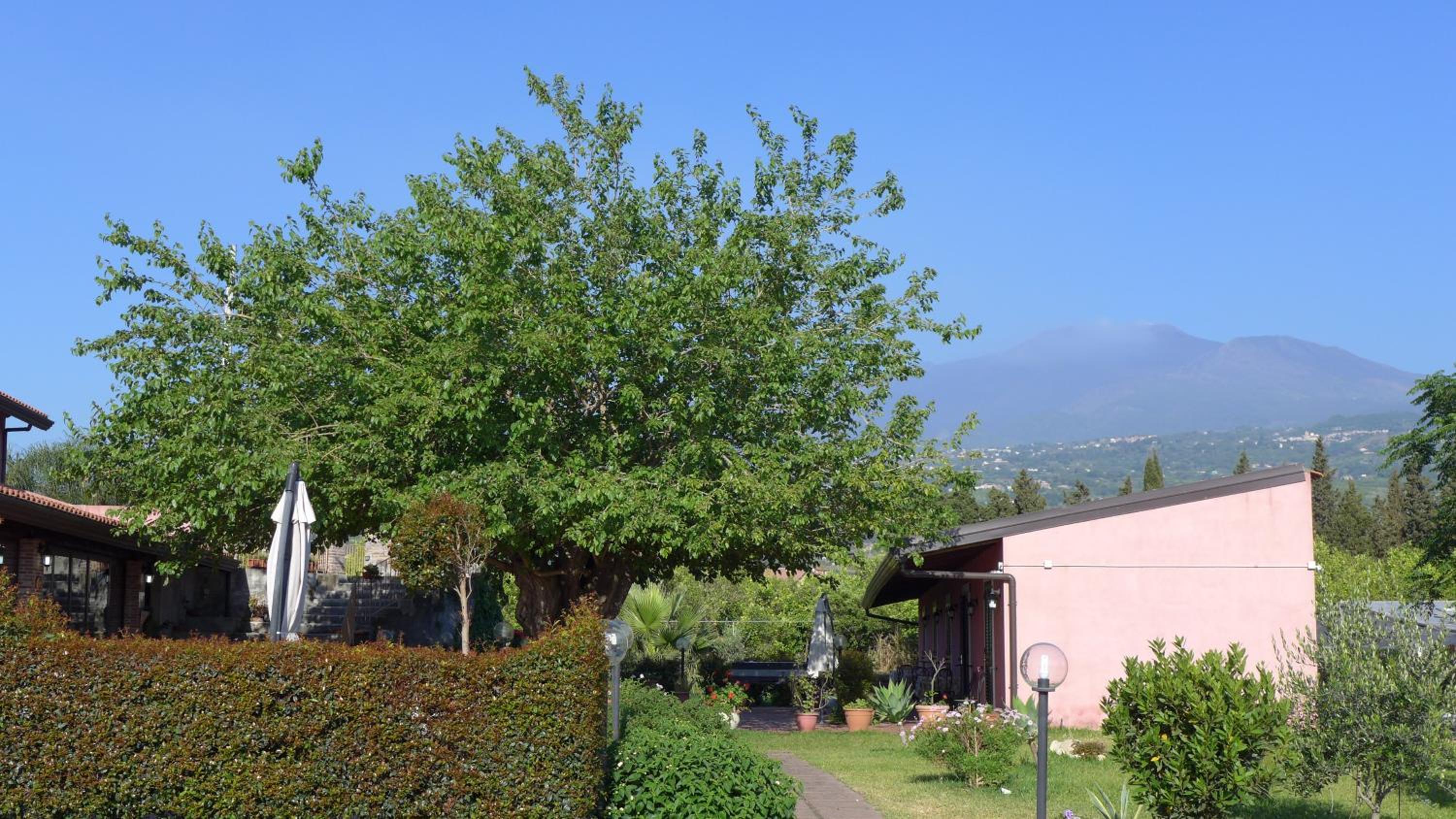 Agriturismo Il Pozzo Antico