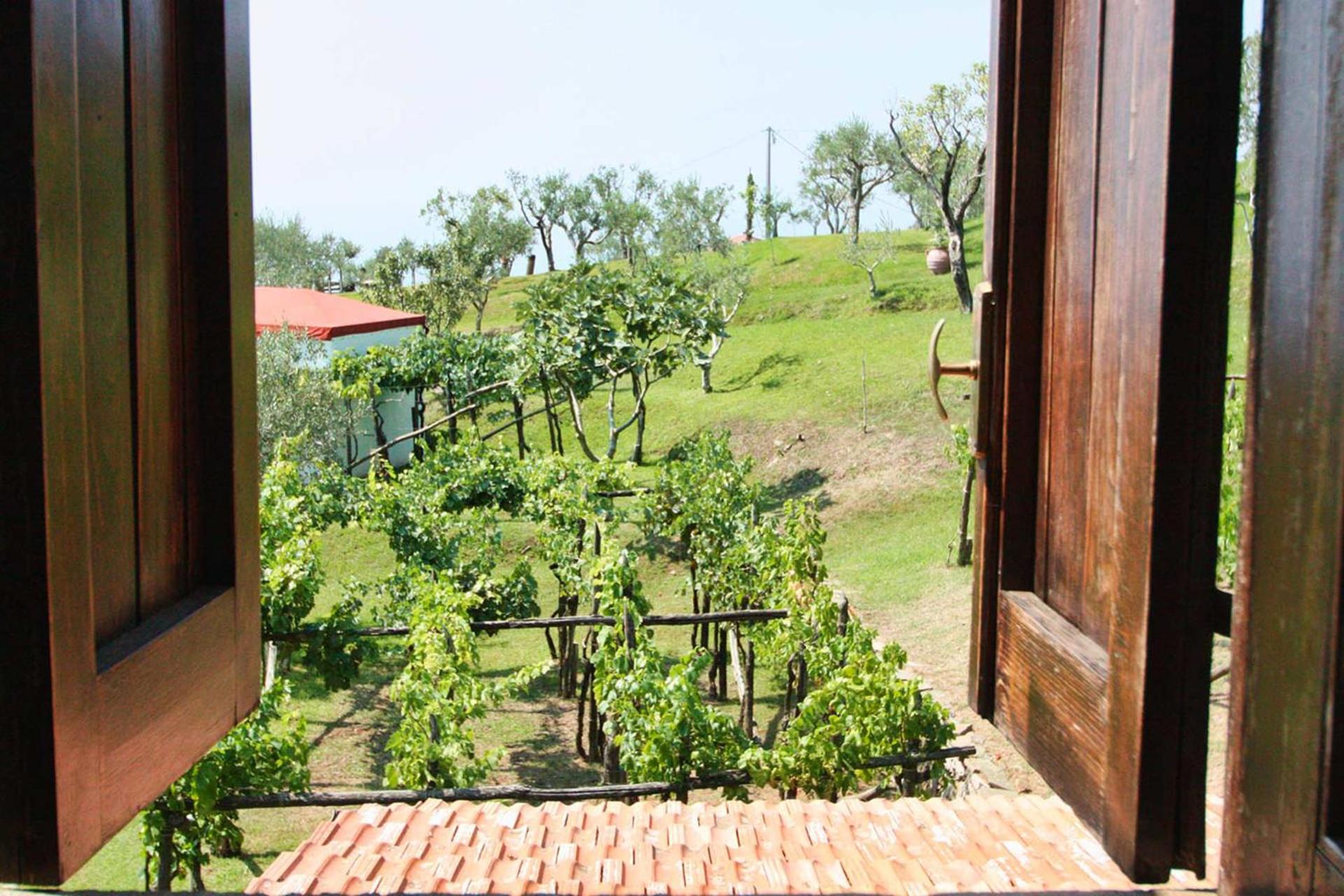 The Sea Farmhouse view 2