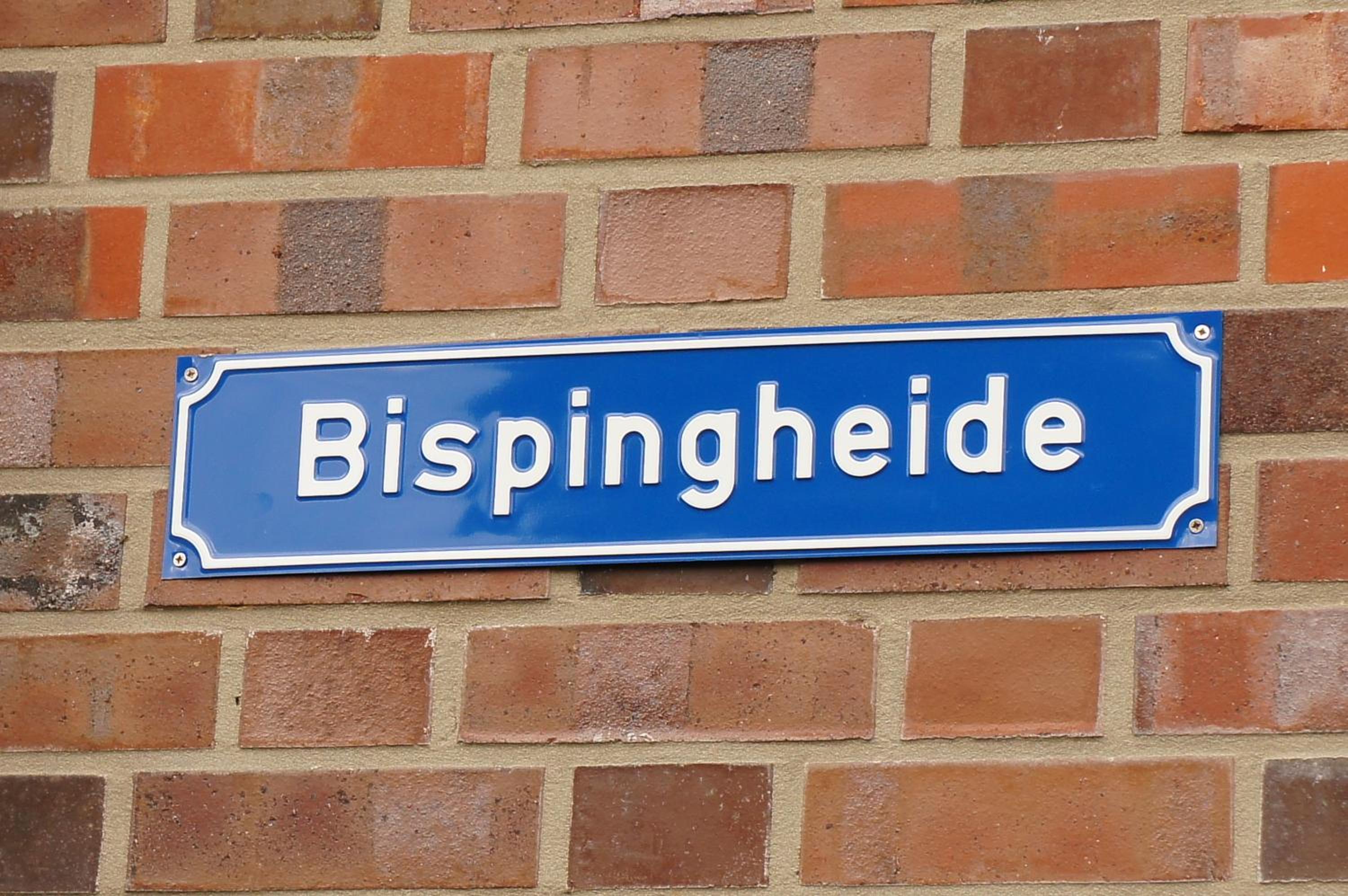 Dachstudio Bisping33