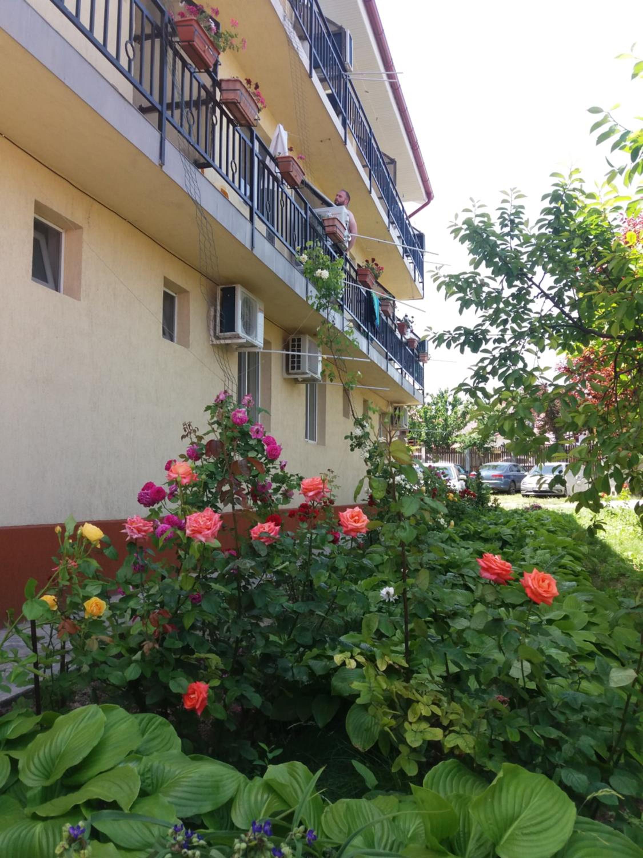 Vila Albatros view 4