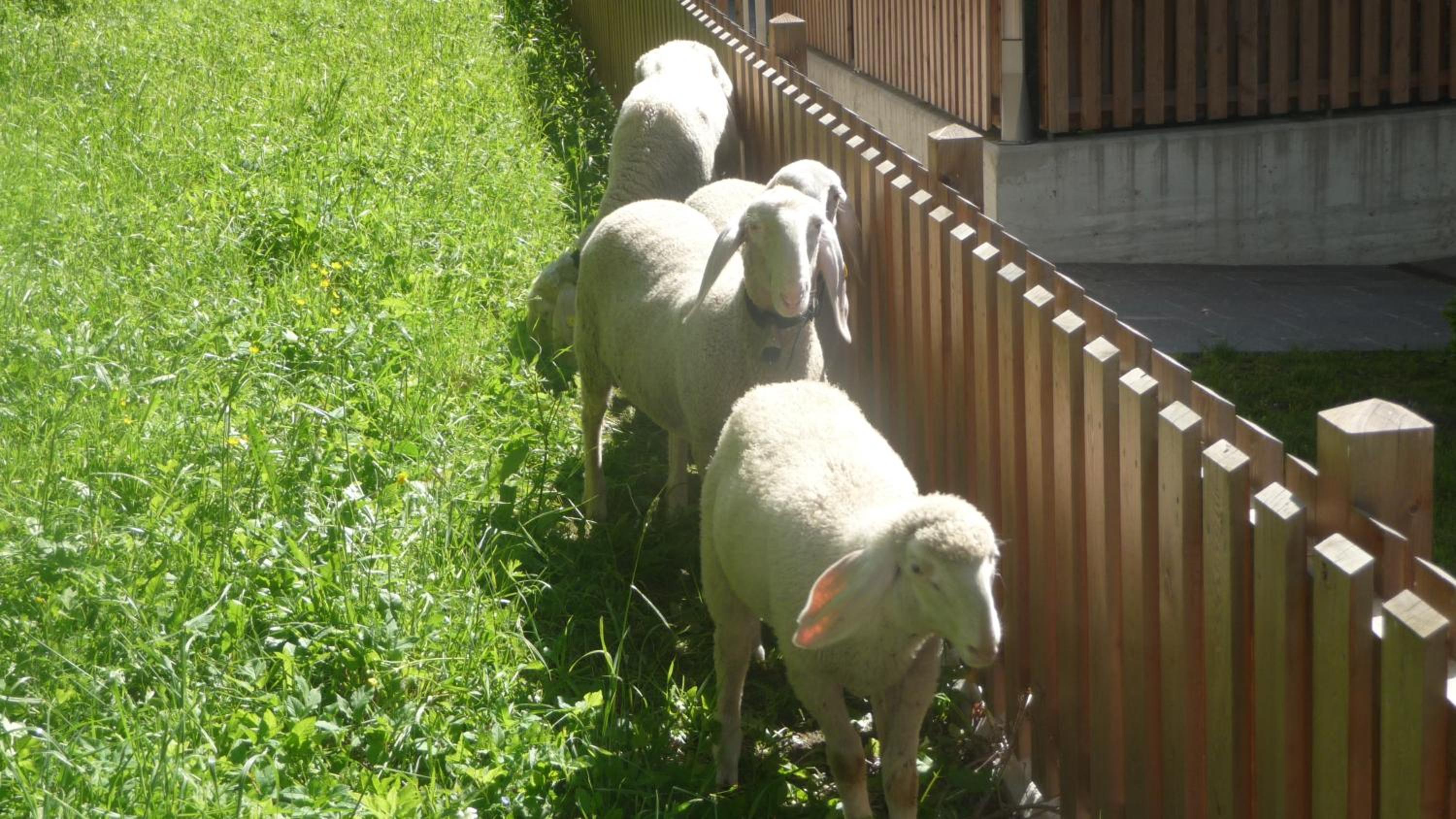 Photo 25