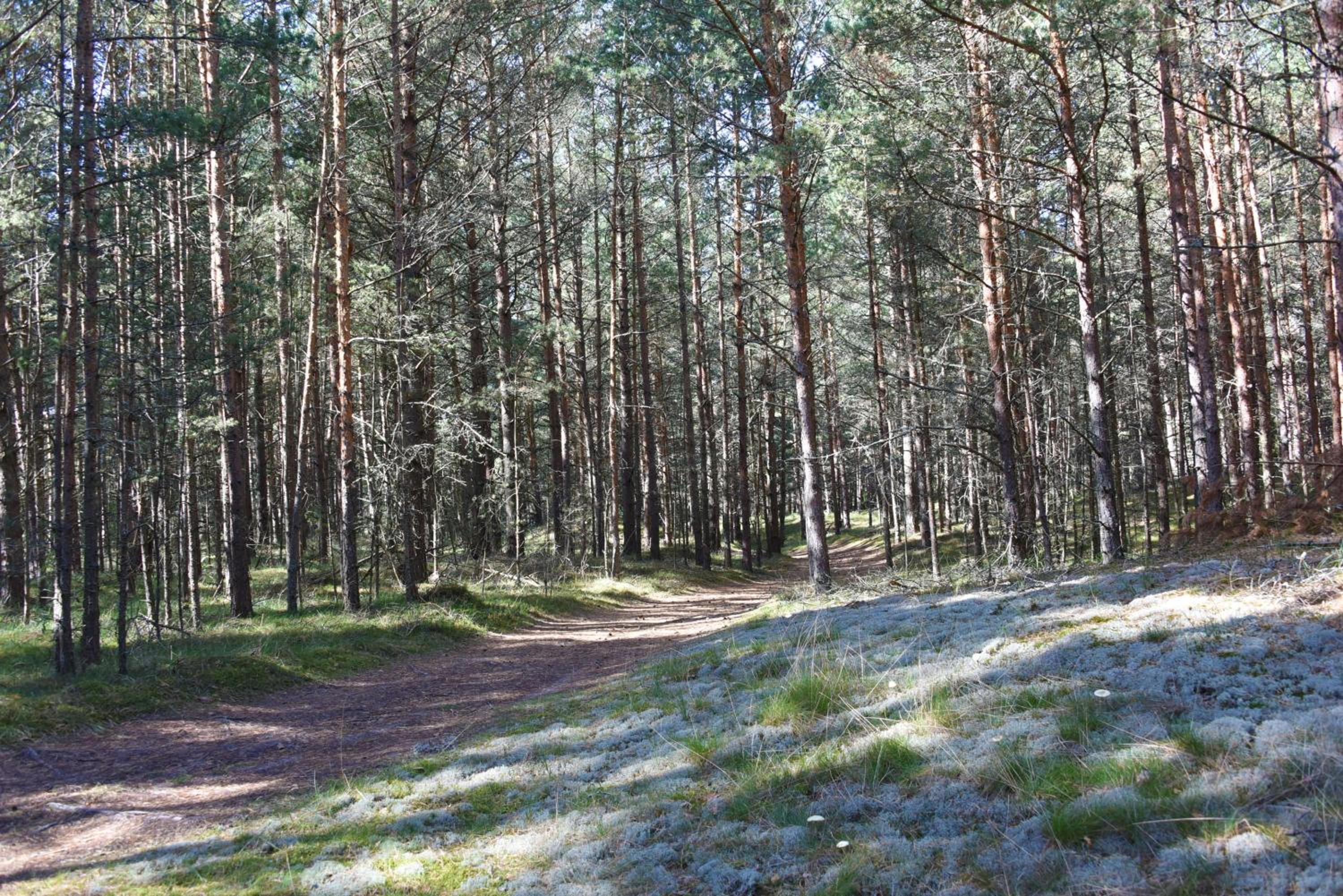 Photo 47