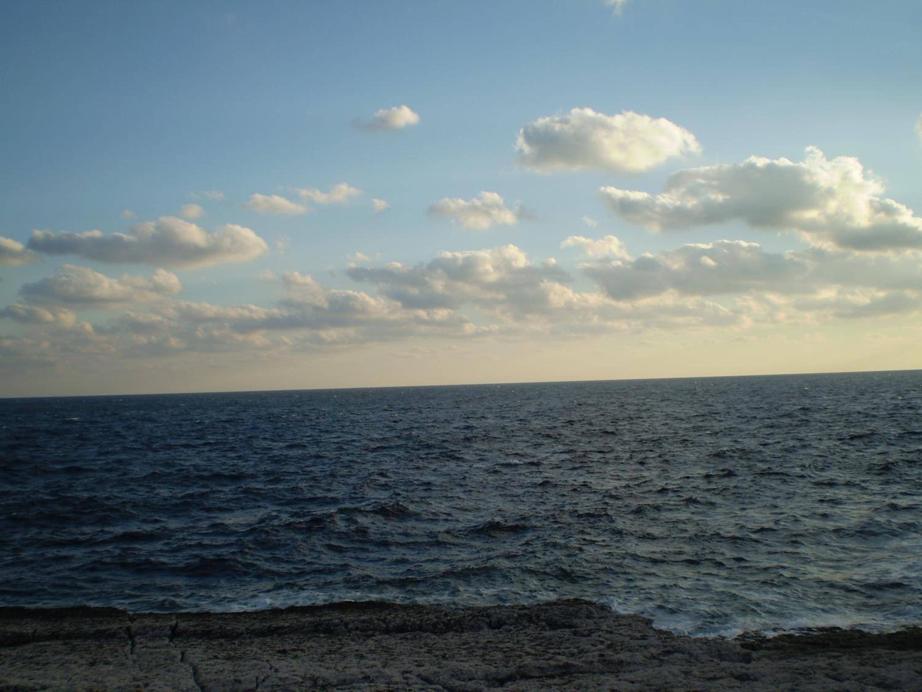 Photo 103
