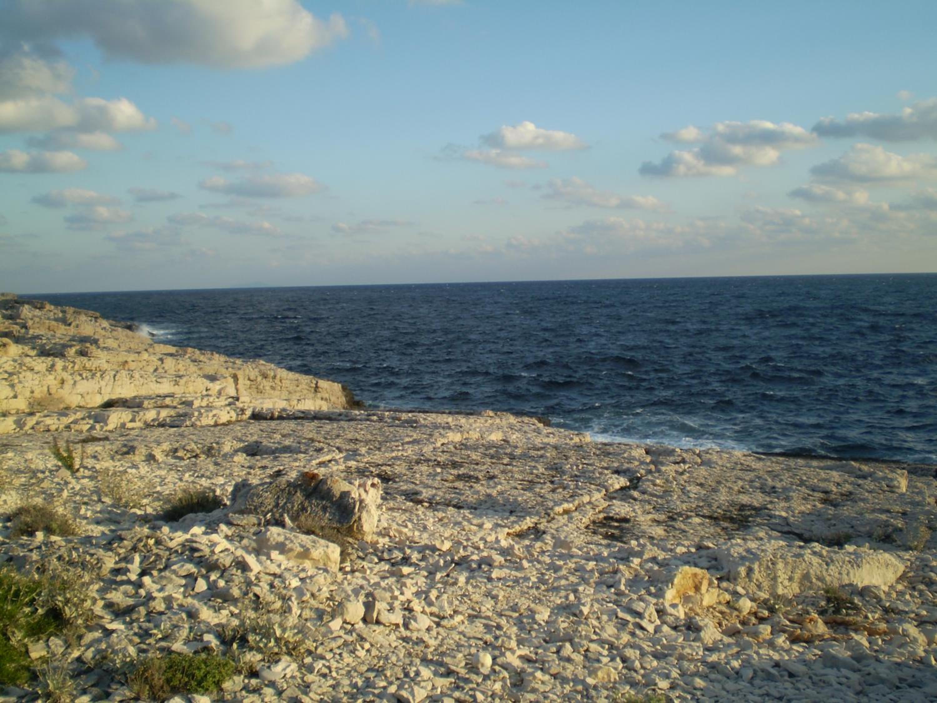 Photo 102