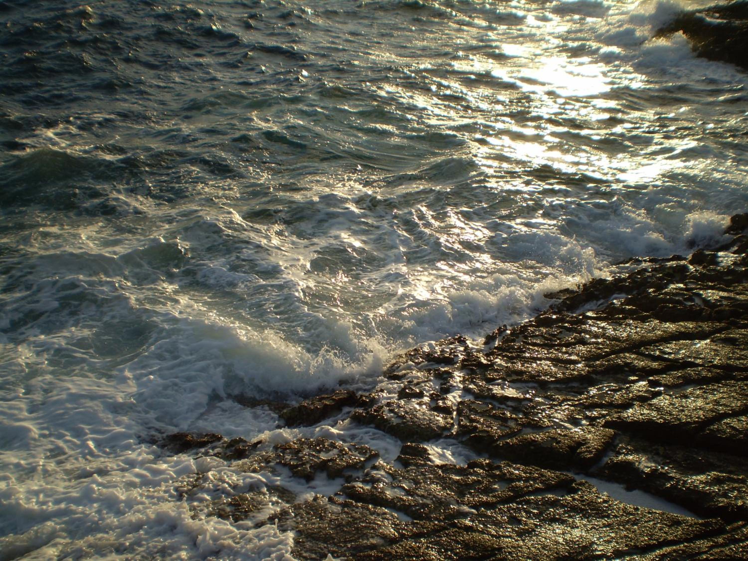 Photo 100