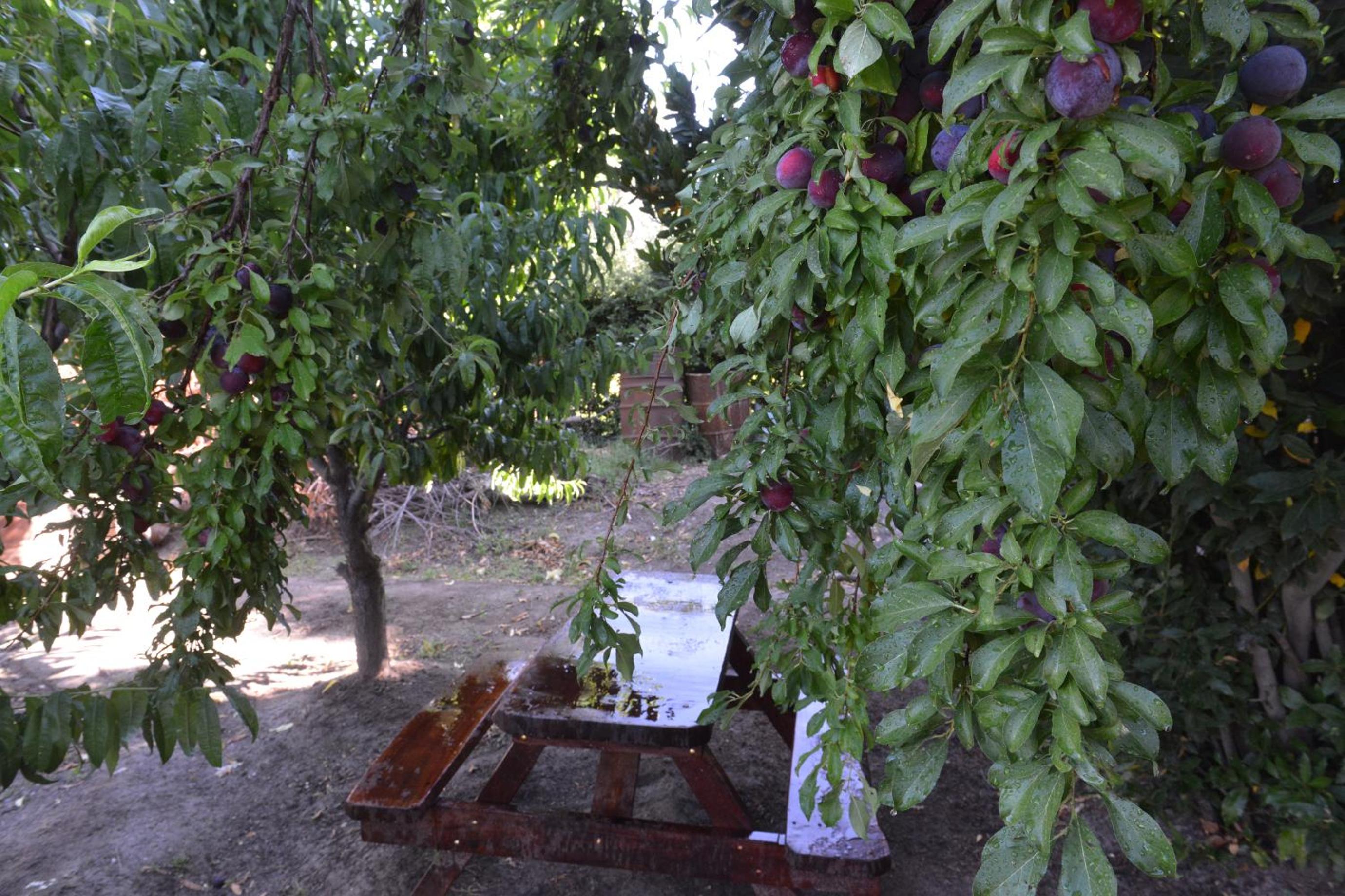 Casita Rural Complejo Los Abuelos