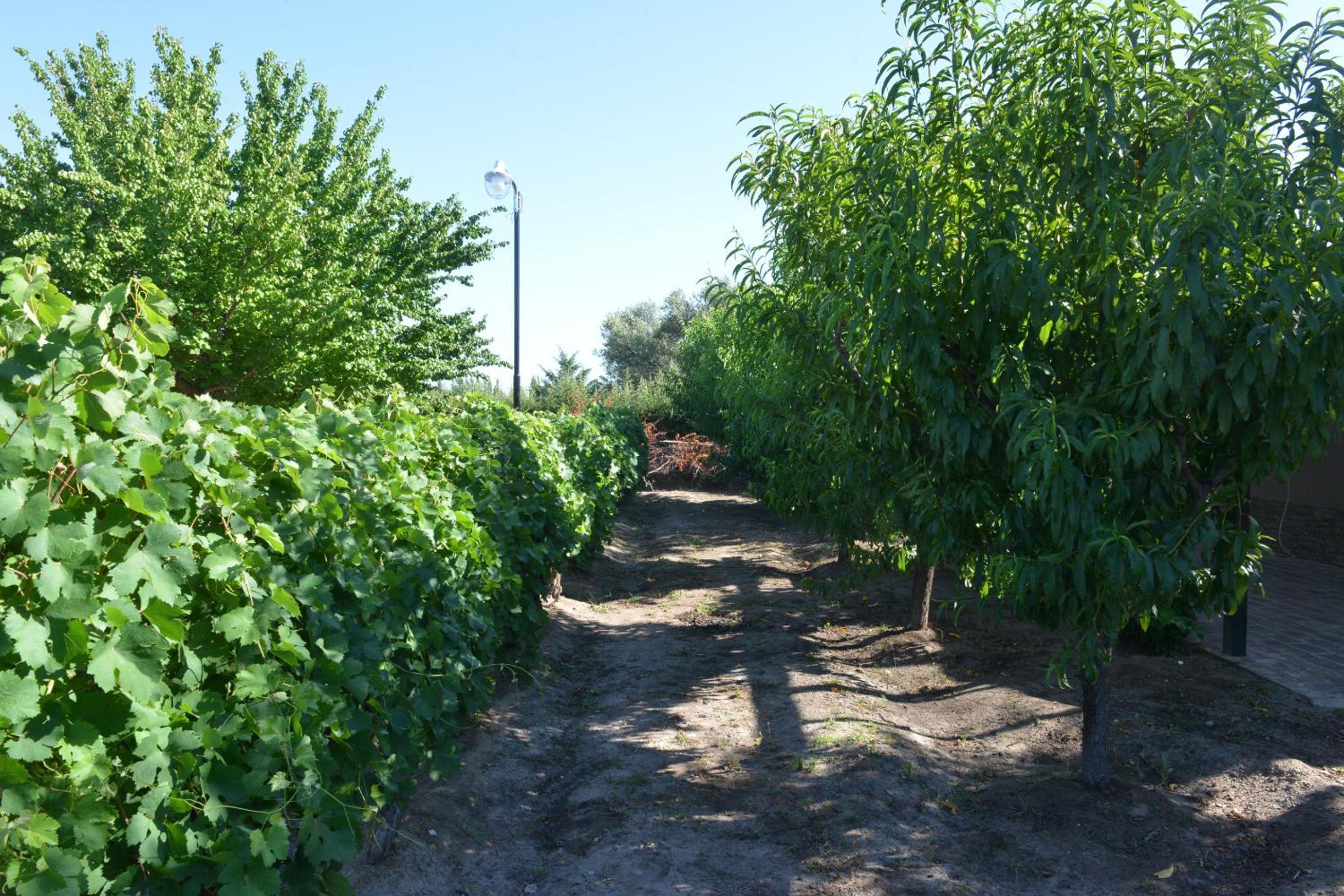 Casita Rural Complejo Los Abuelos