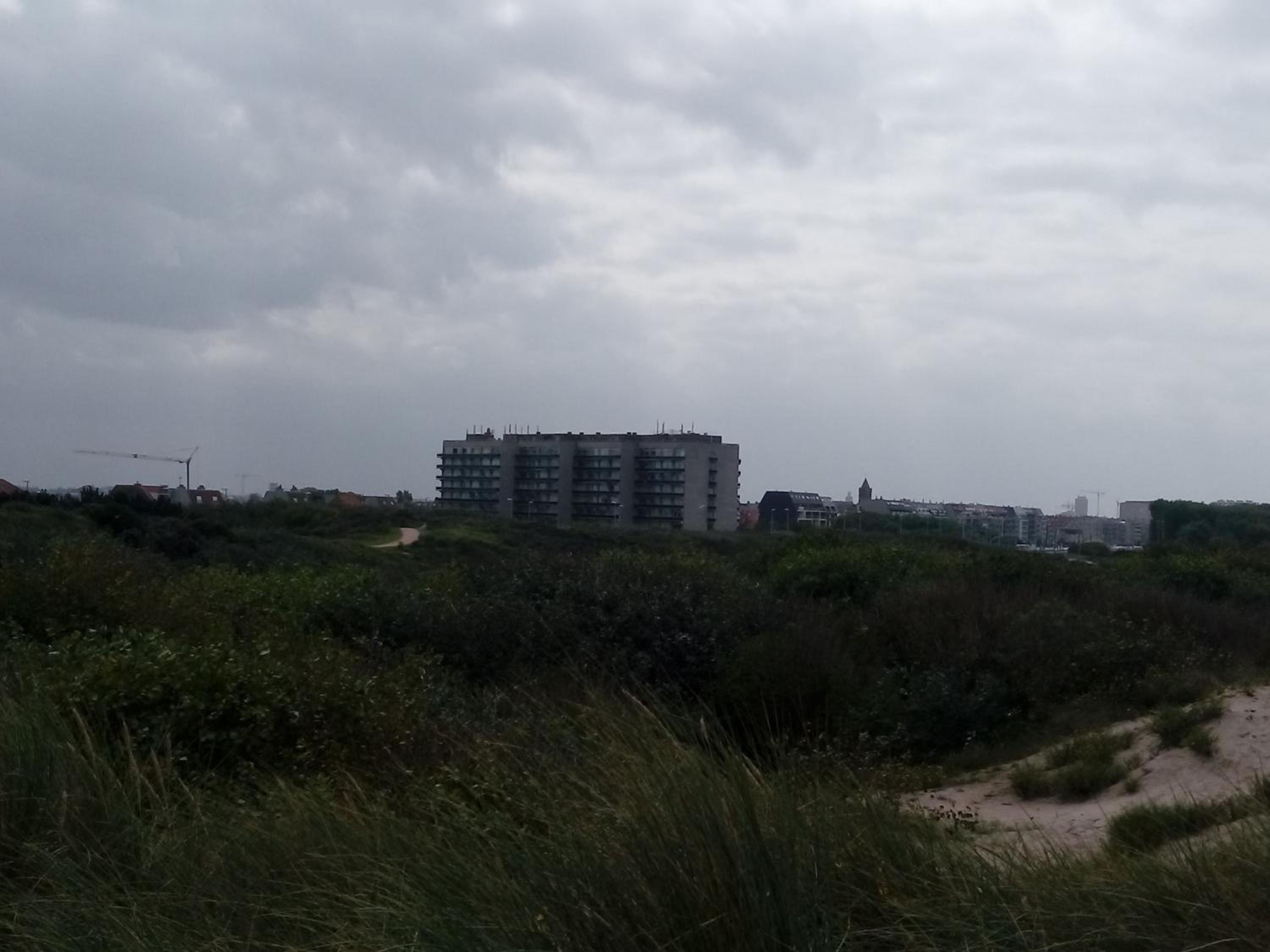 Photo 33
