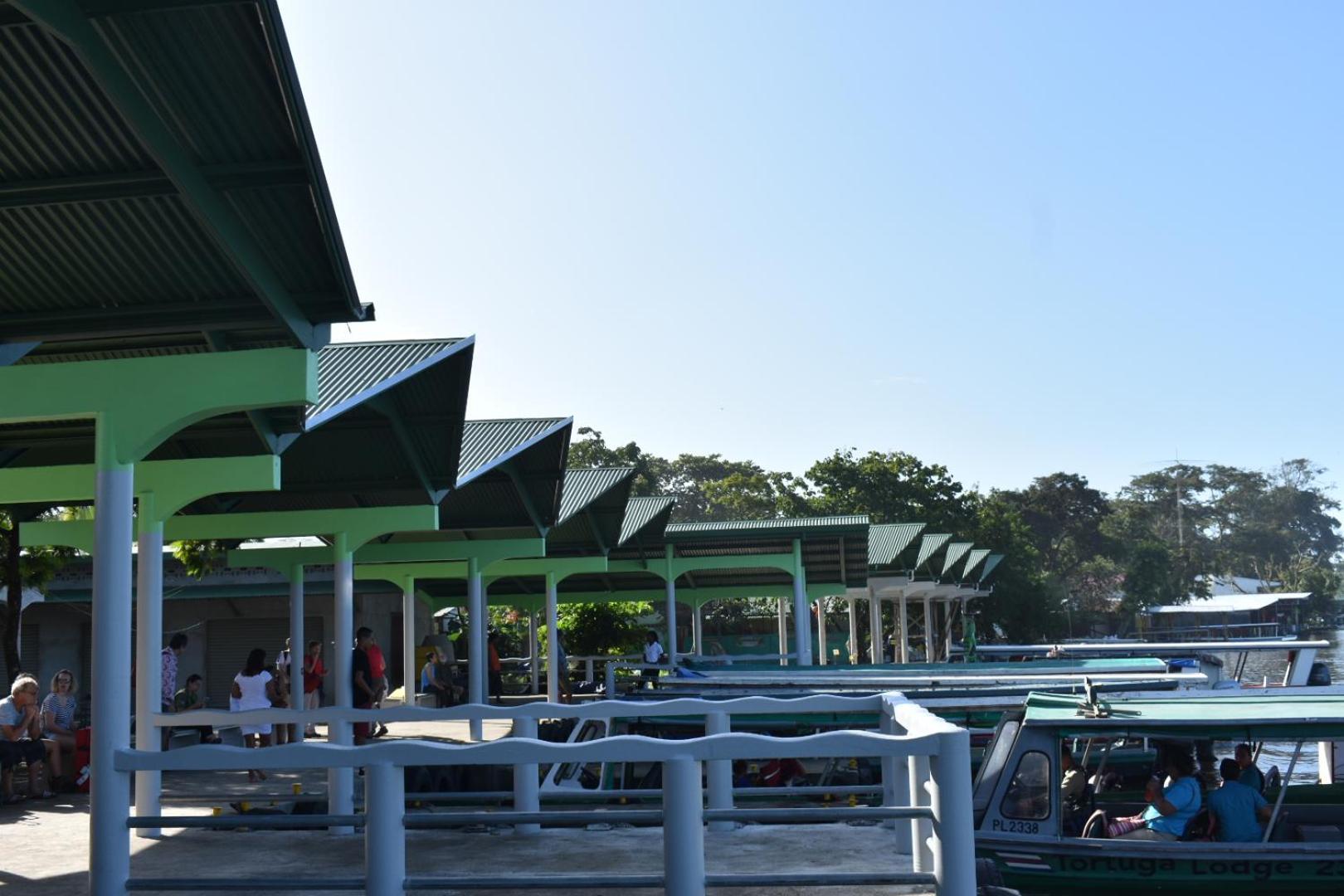 Casa turtle Bogue