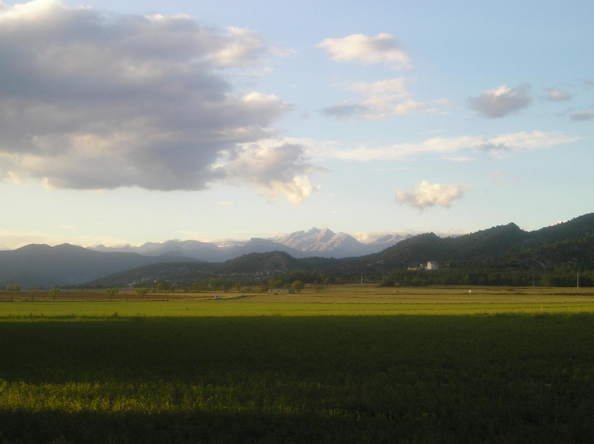 Photo 49