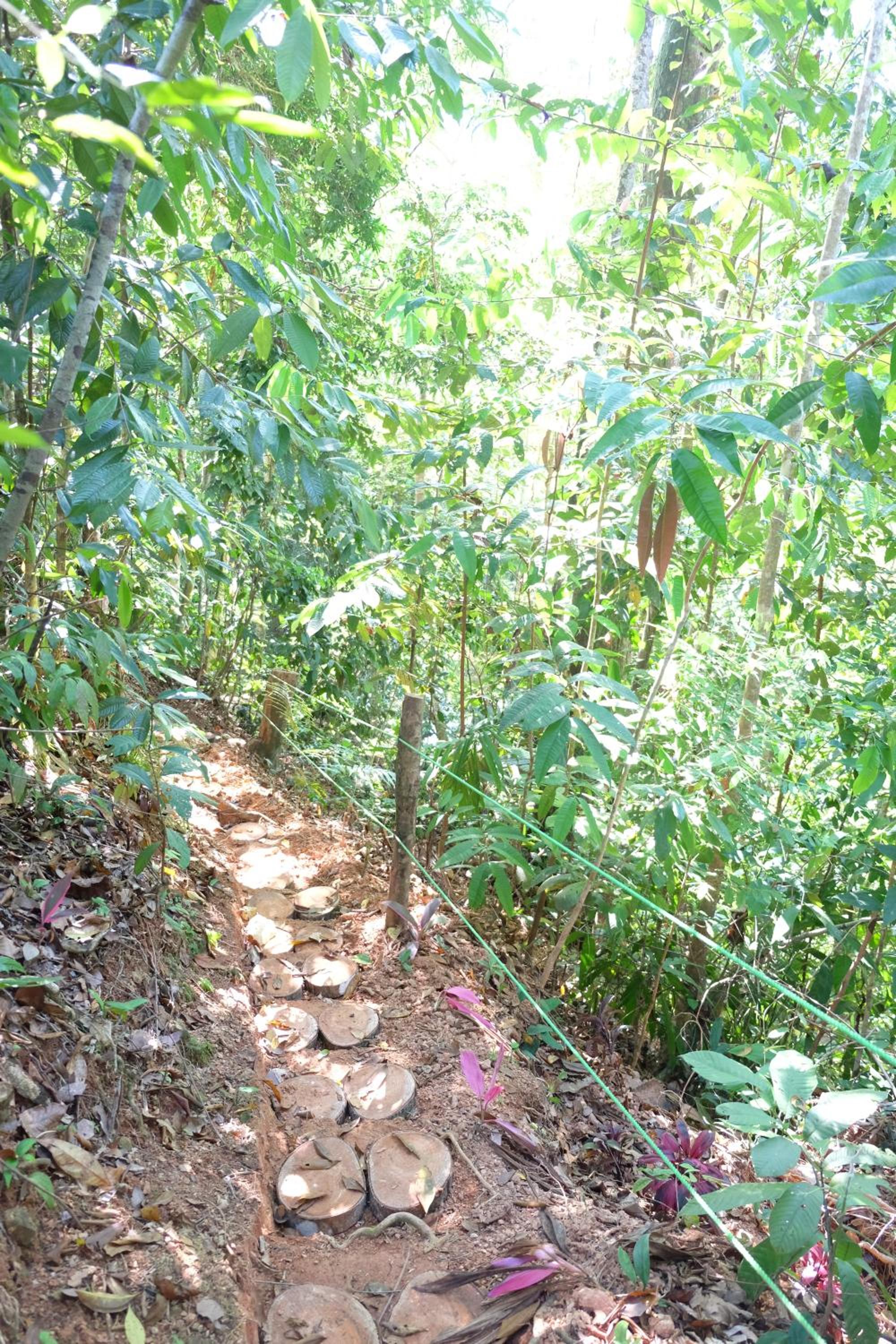 Villas en el Bosque