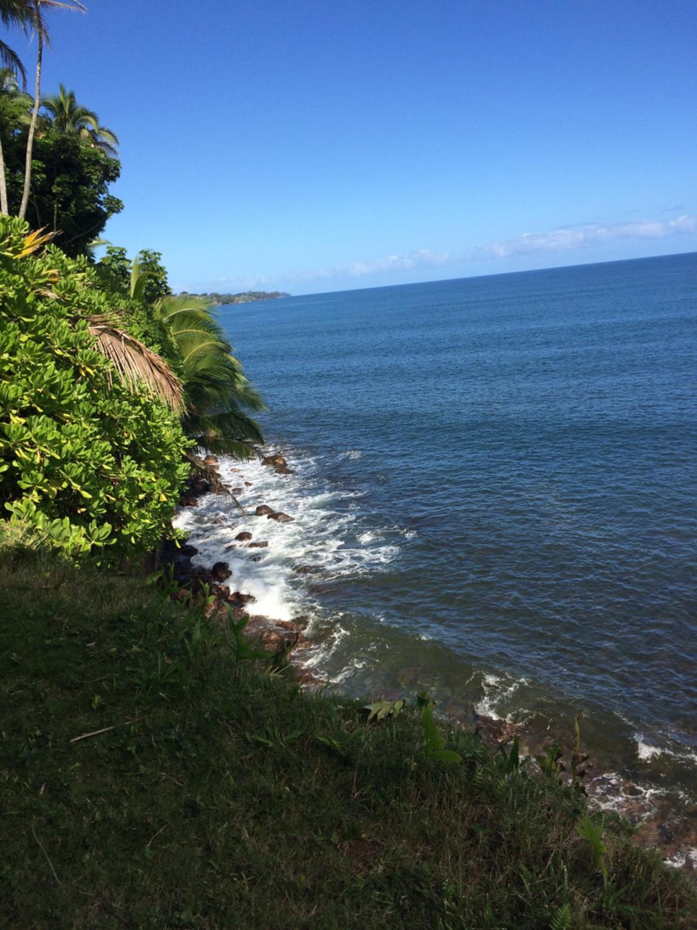 Hilo Bay Oceanfront Bed and Breakfast