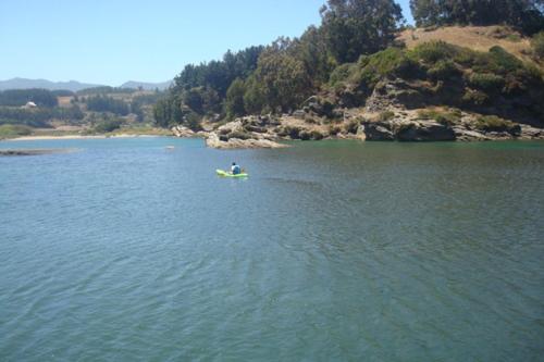 Photo 42