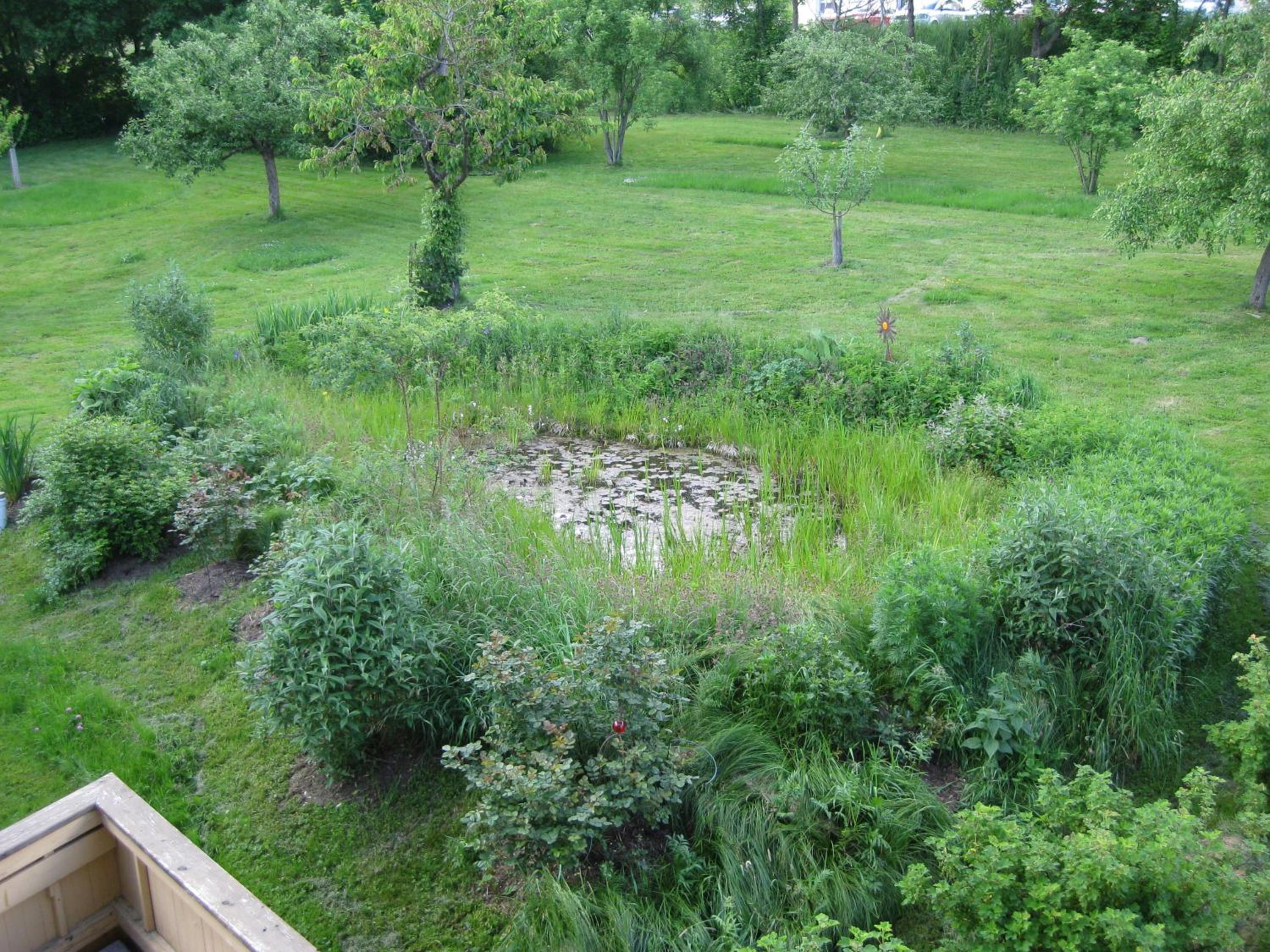 Photo 21