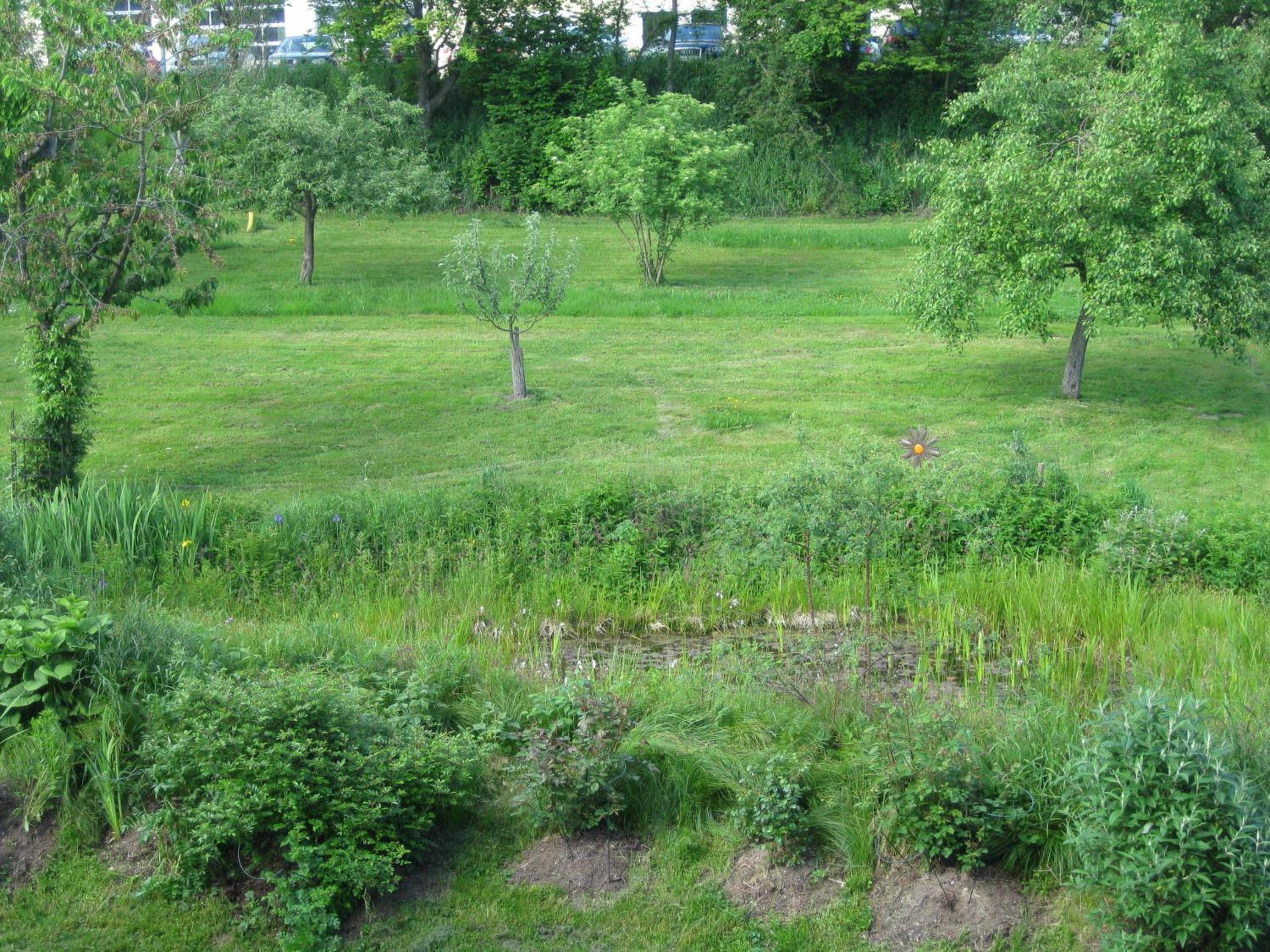Photo 26