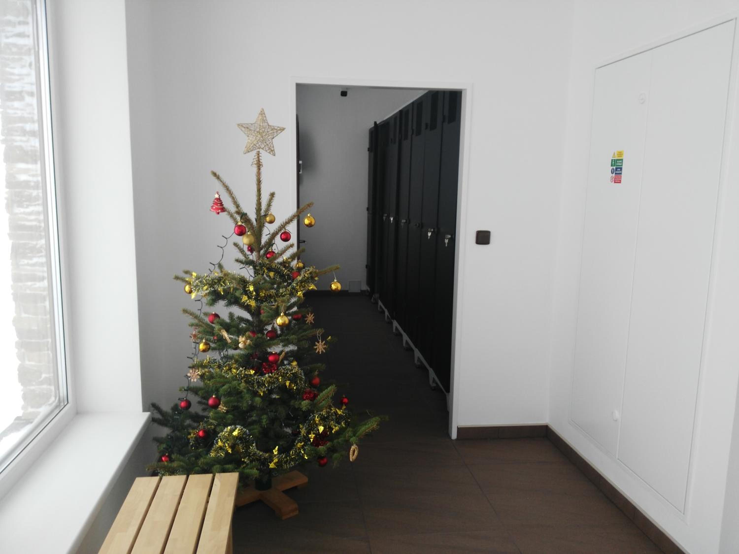 Photo 26