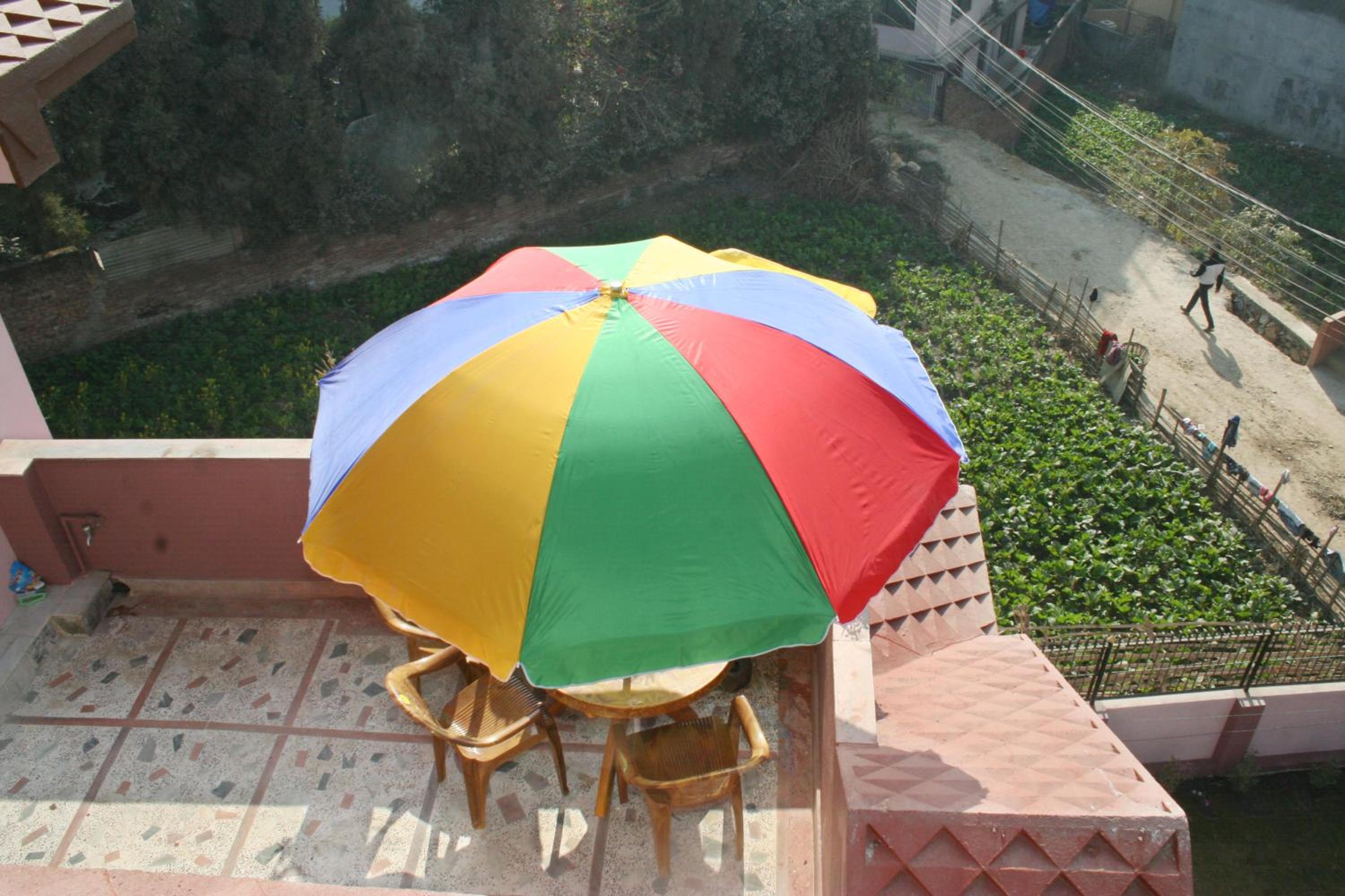 Photo 11