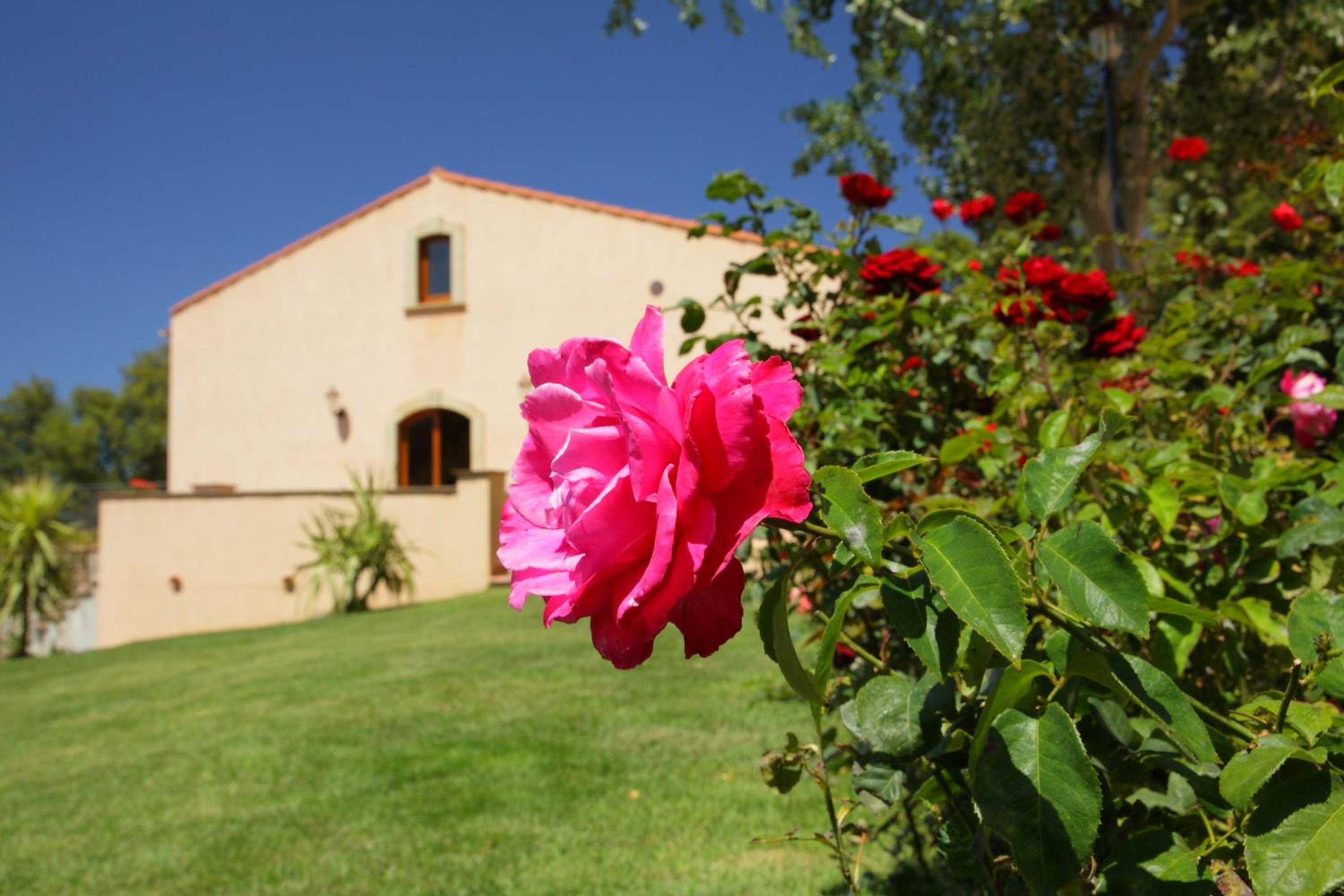 B&B Le Ginestre