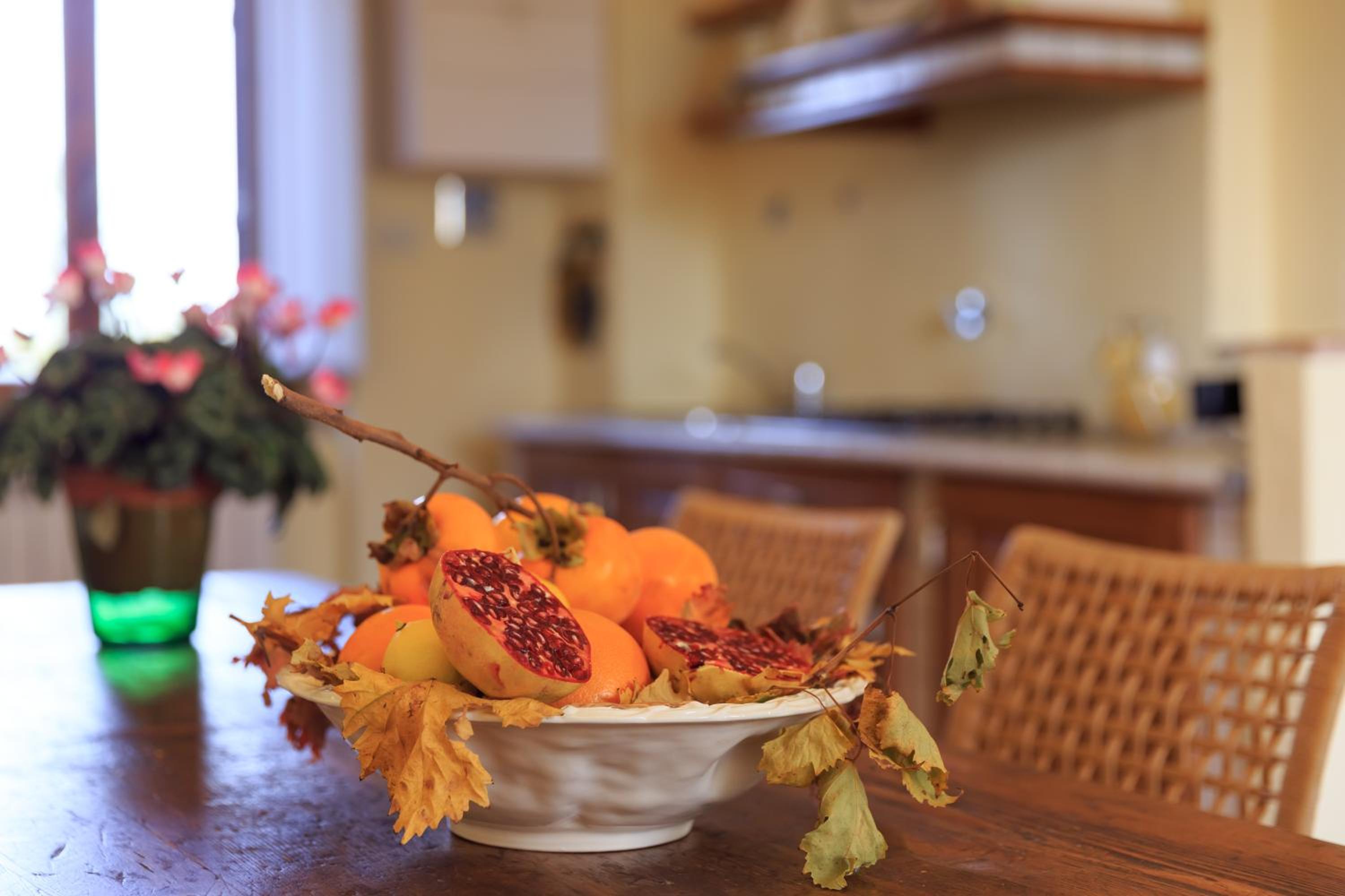 Agriturismo Fattoria Santo Stefano