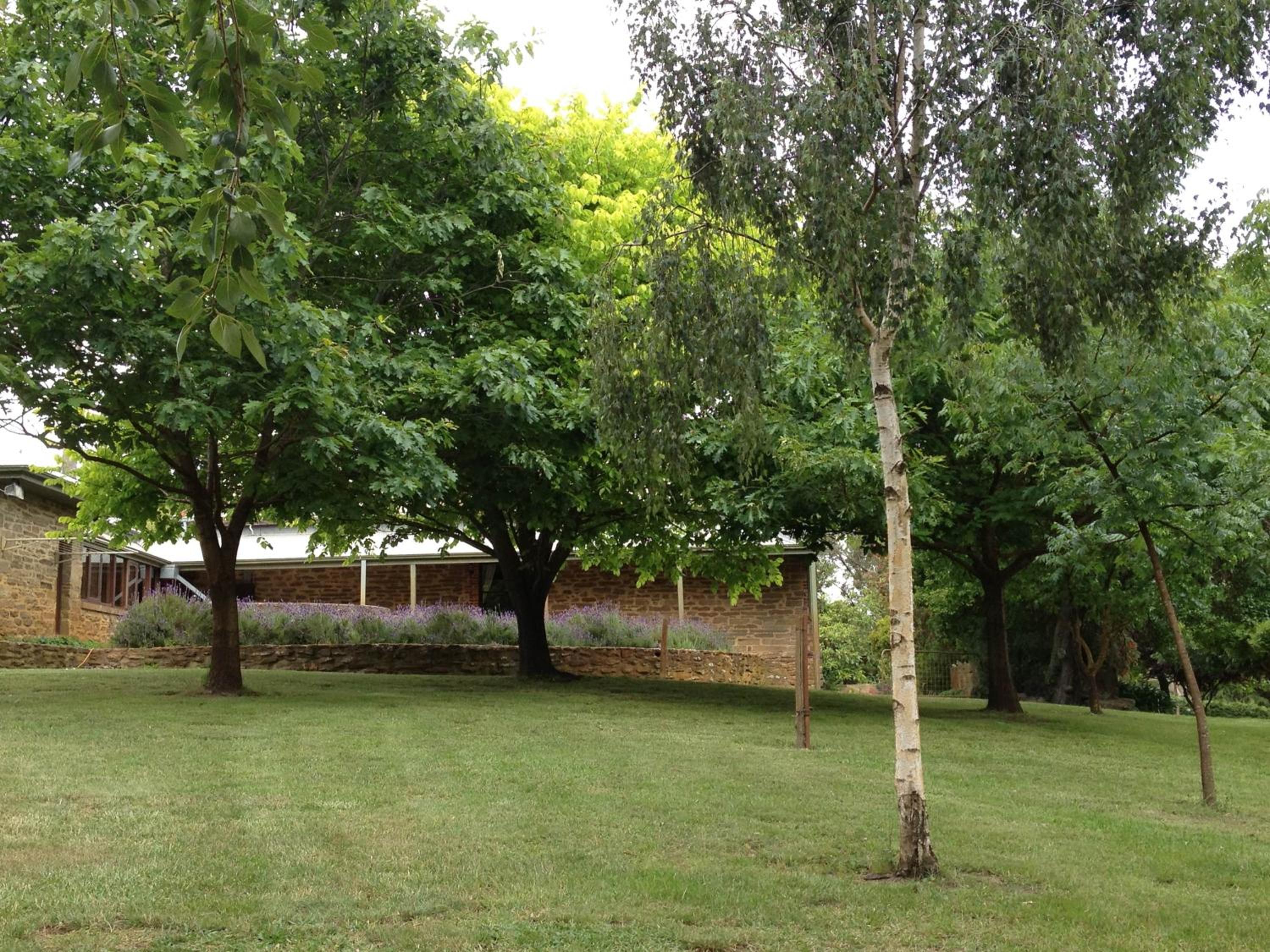 Grand Cru Estate Homestead