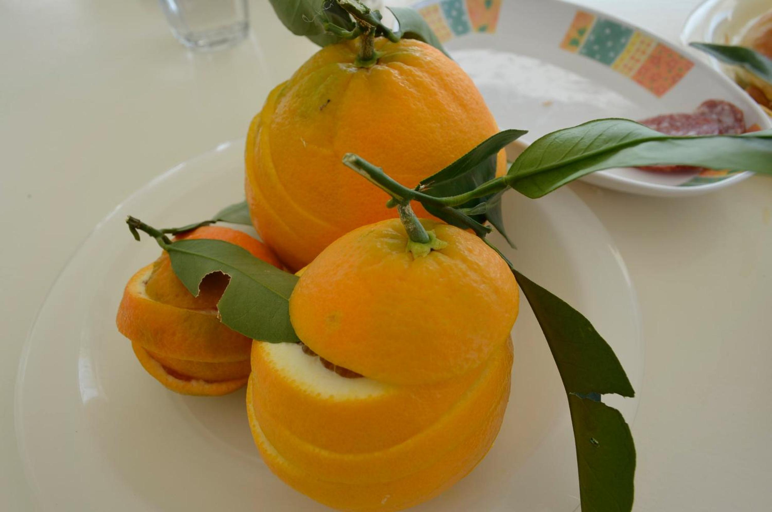 Photo 44