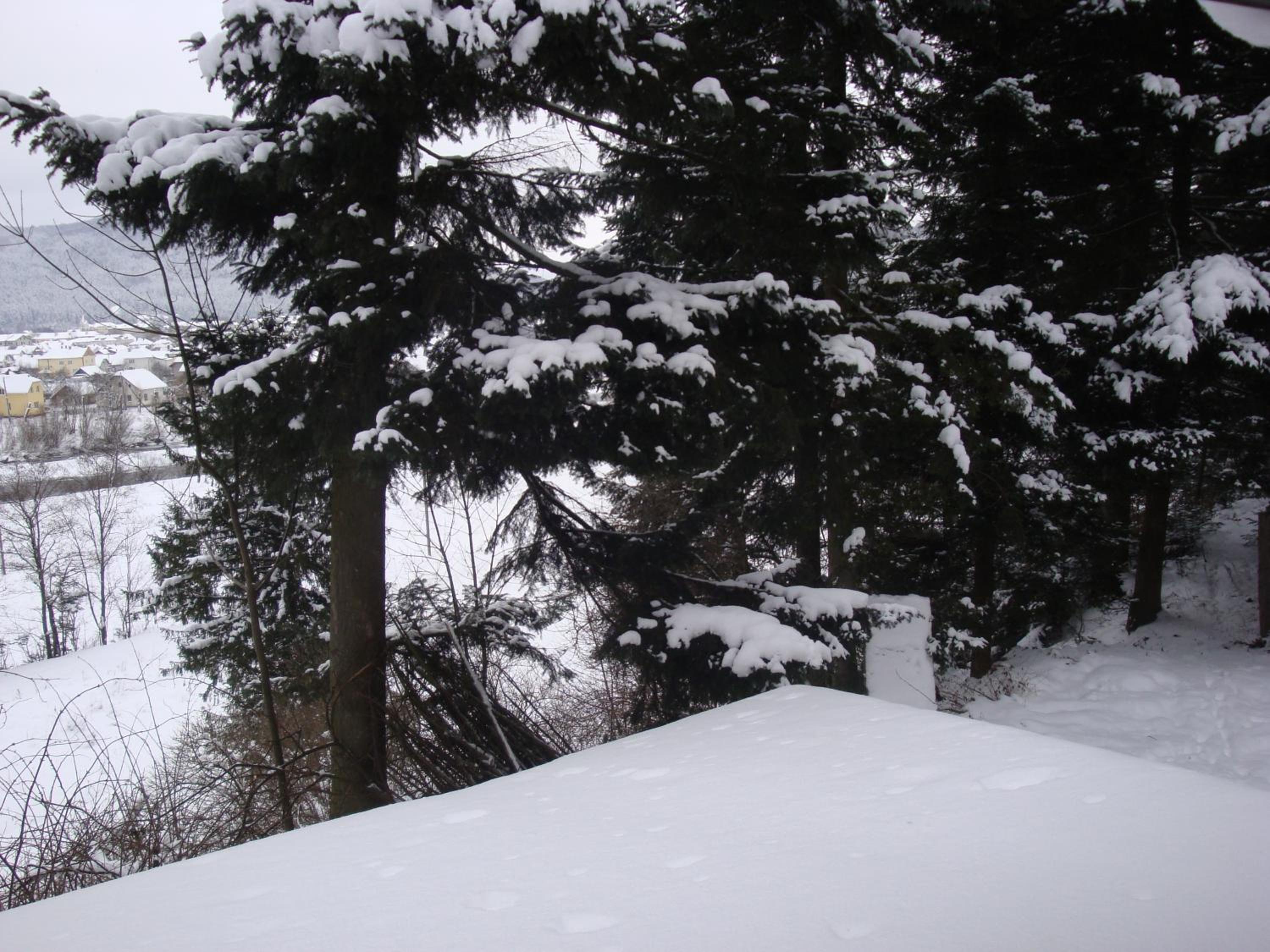 House Beskyd view 5