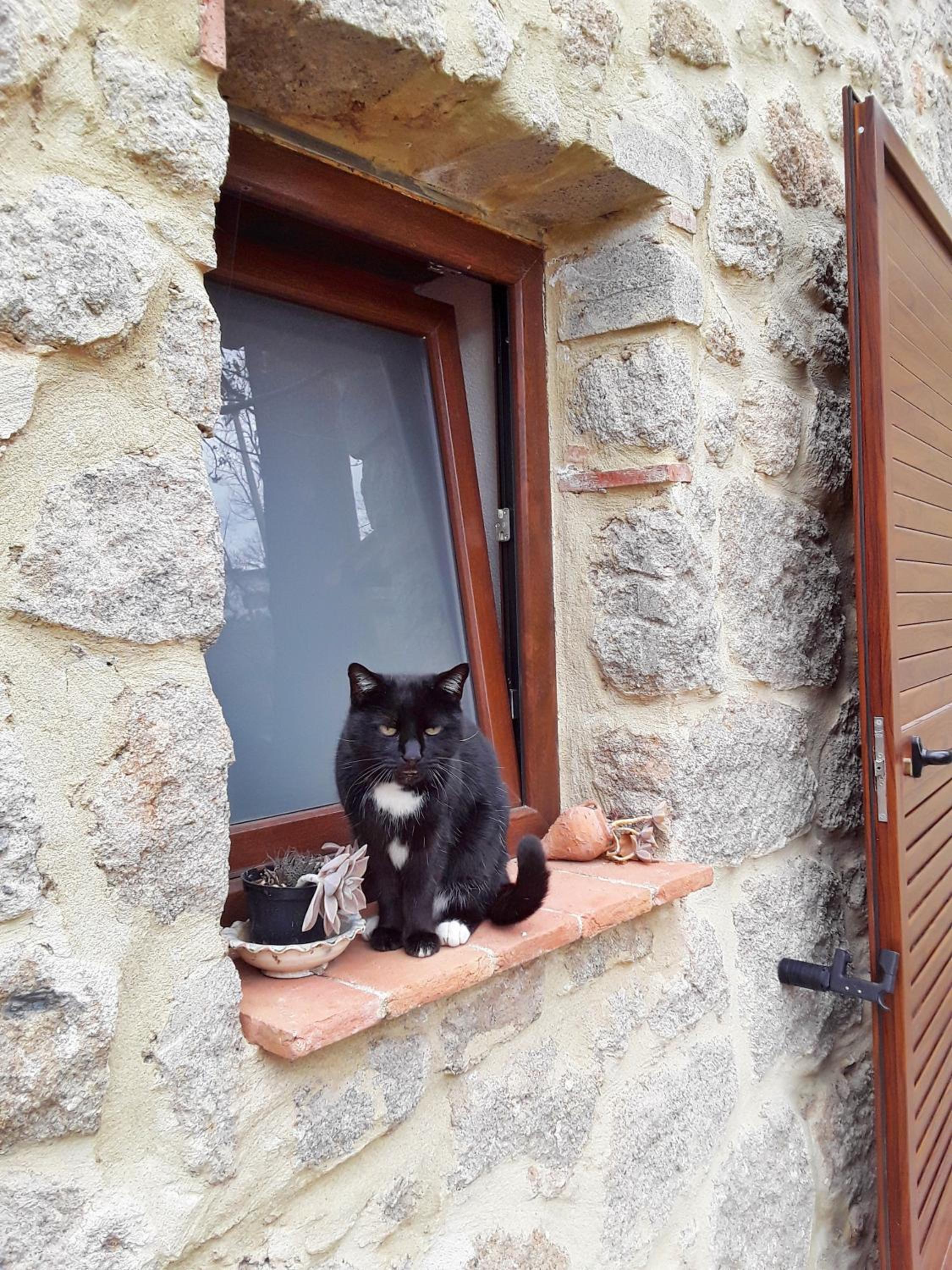 B&B Podere Legnotorto