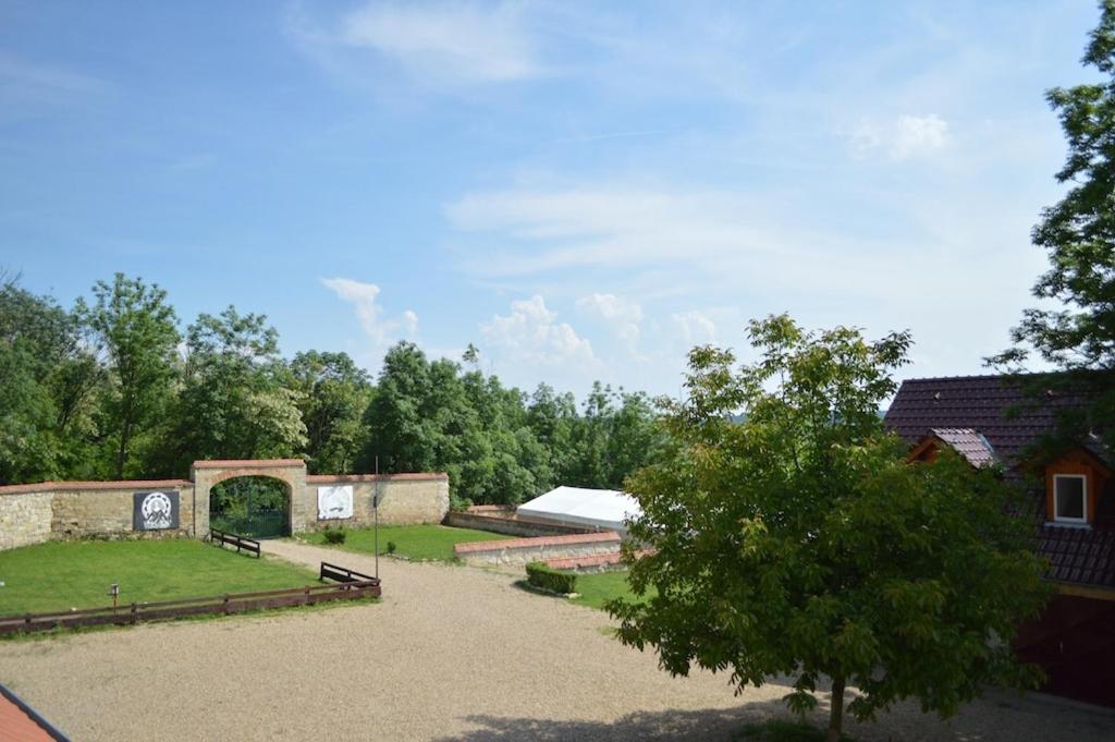 Photo 23