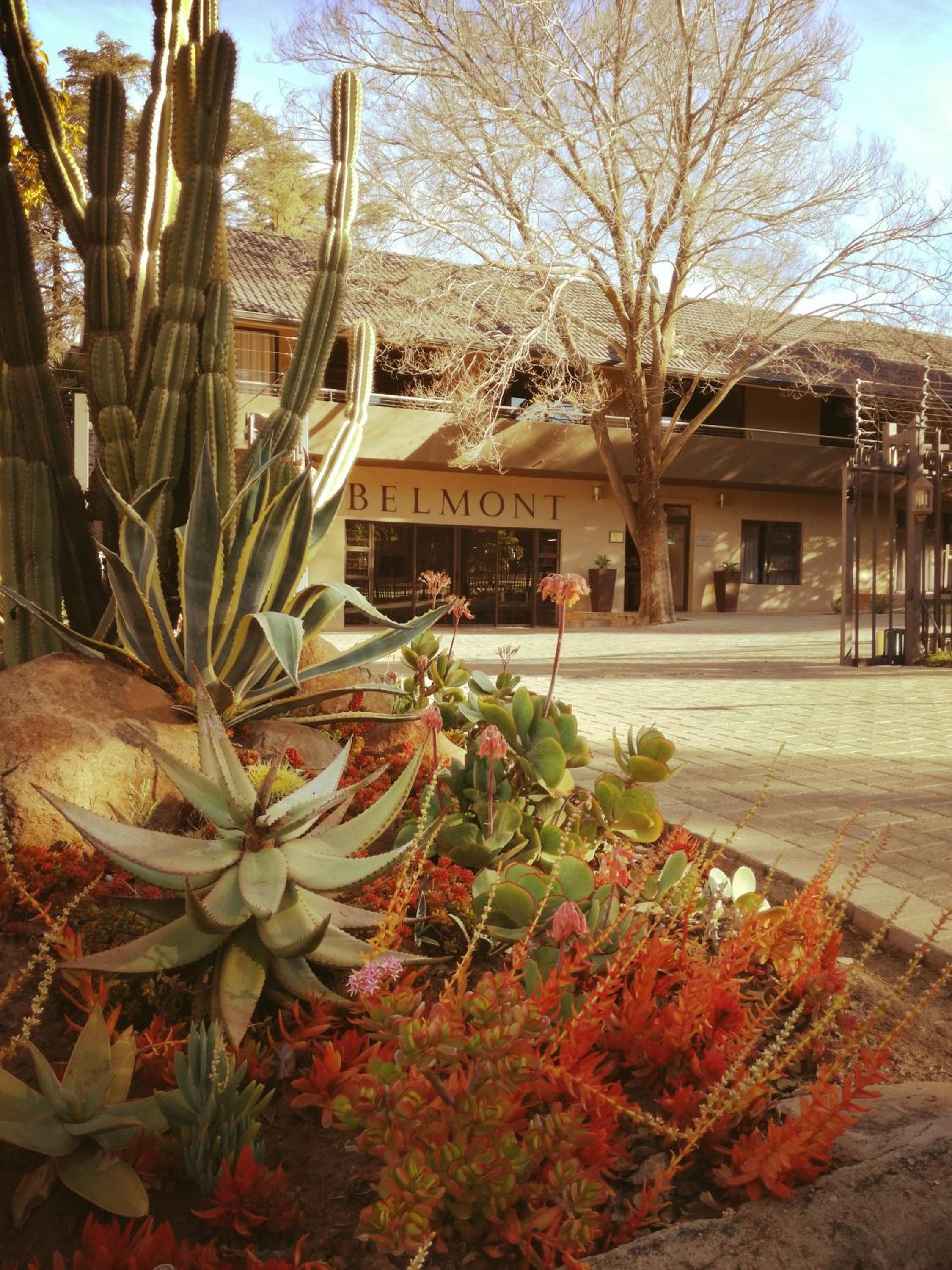 Hotel Belmont Guesthouse - Image 1