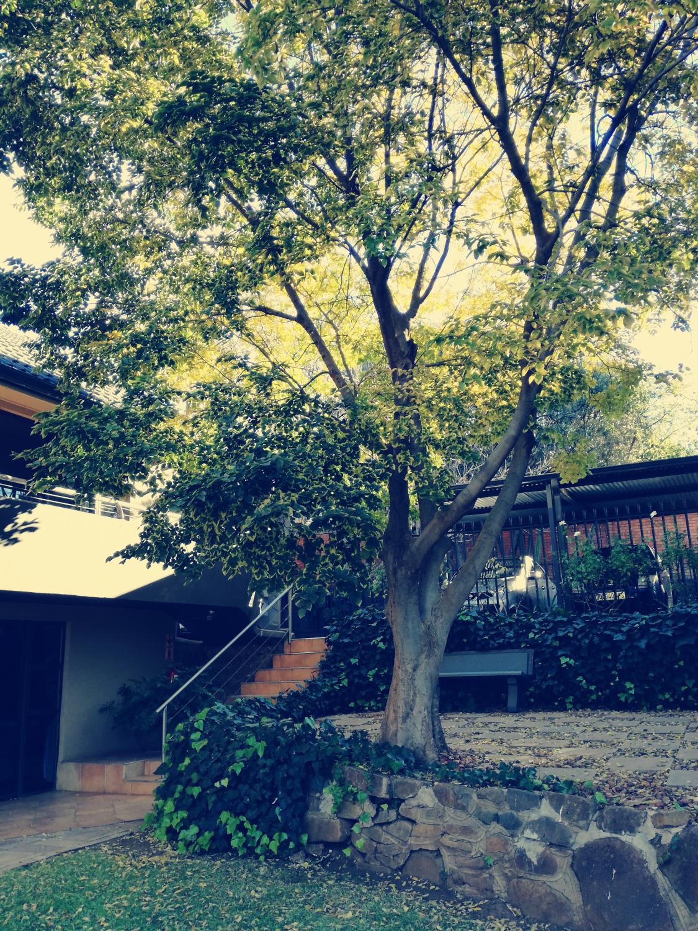 Belmont Guesthouse