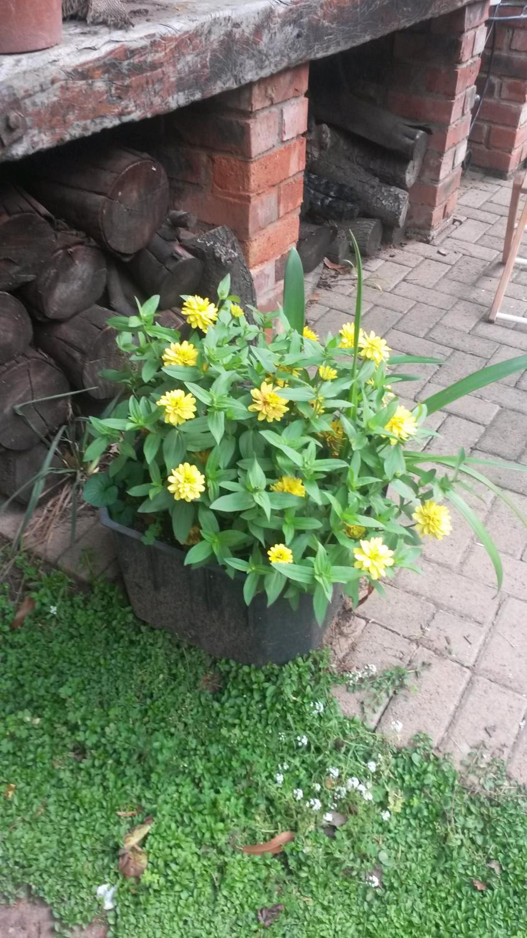 Photo 41