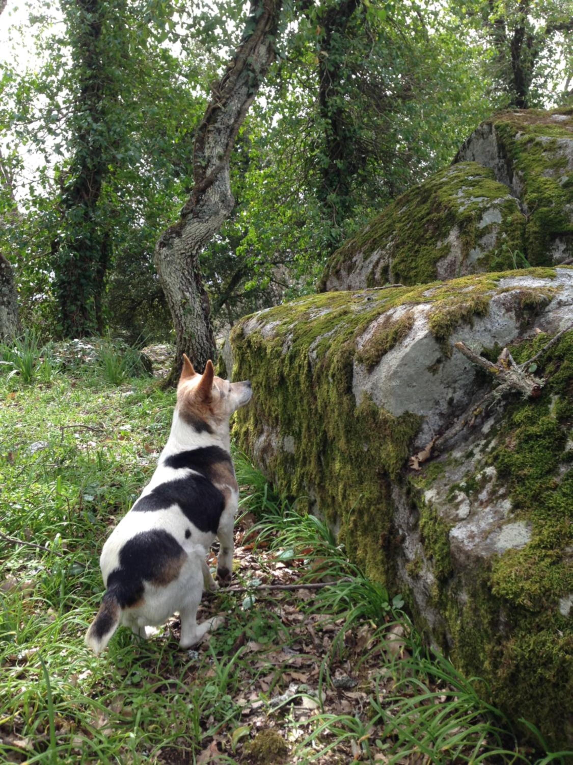 Photo 58