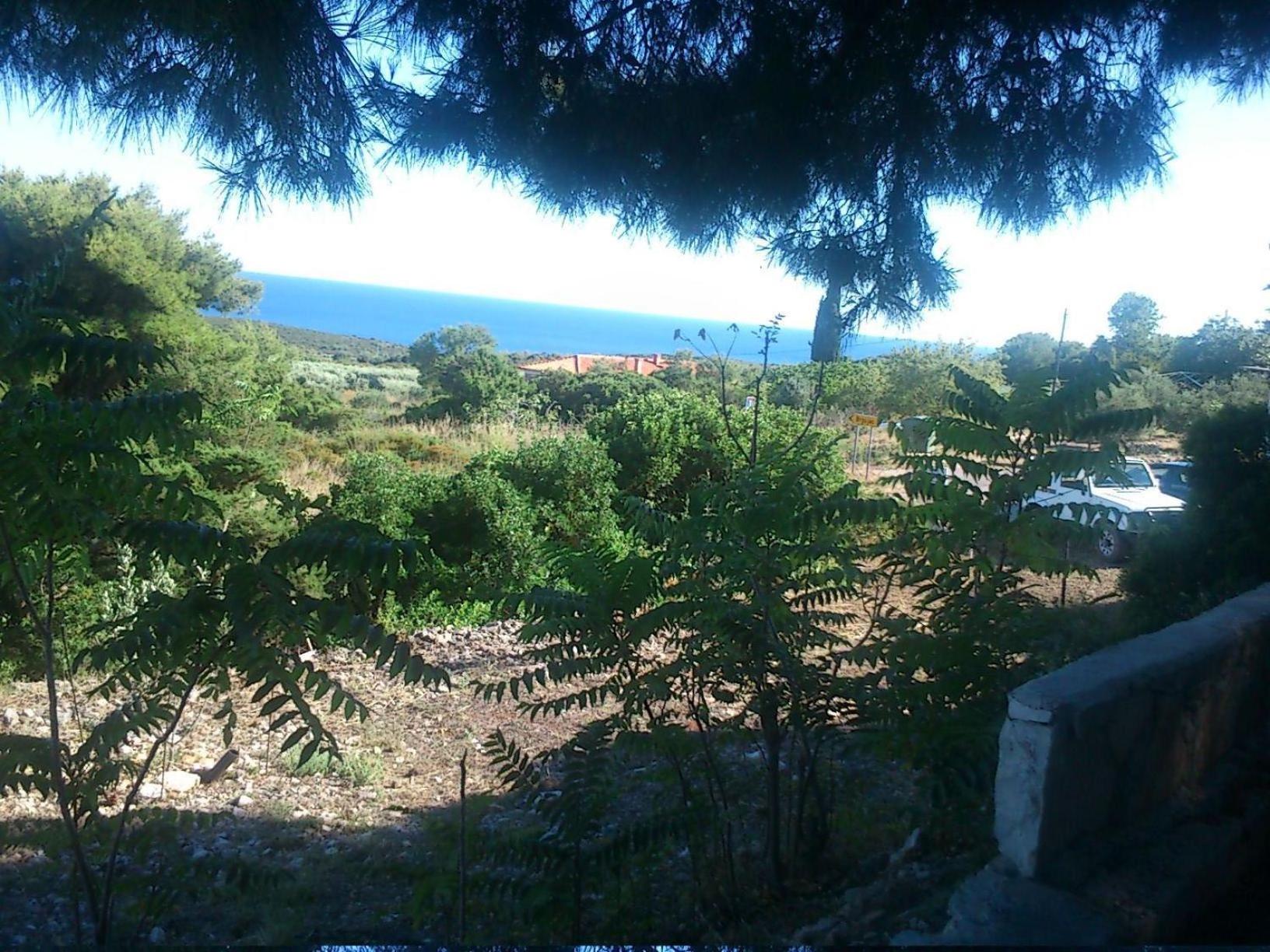 Tip-Top apartments view 3