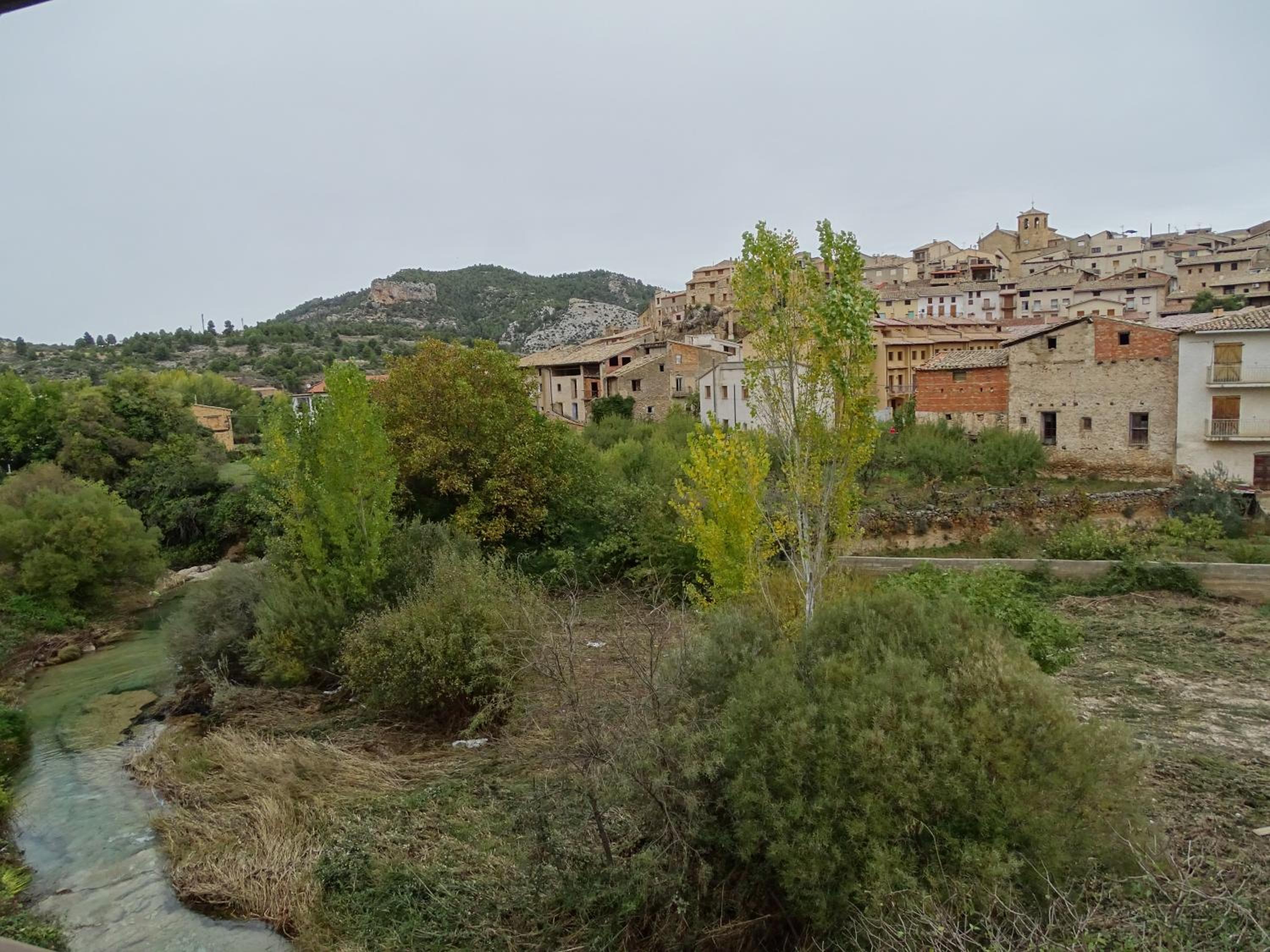 Photo 31