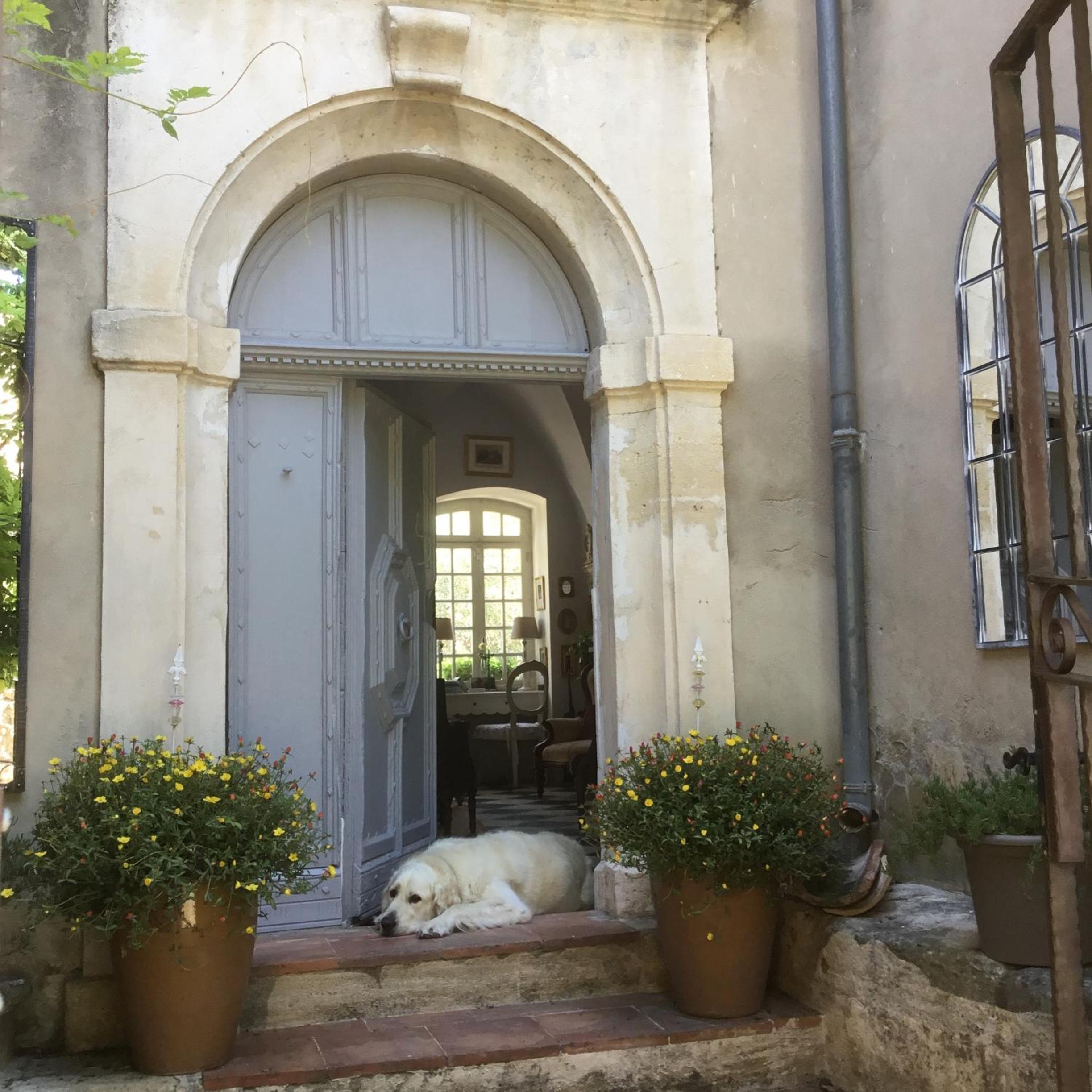Le petit Figuier view 2