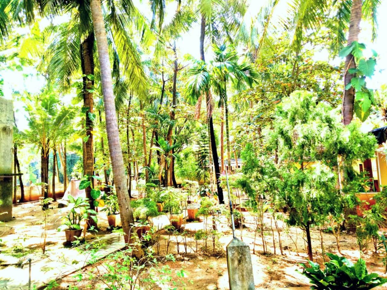 Palm Beach Resort by Yosha Guest
