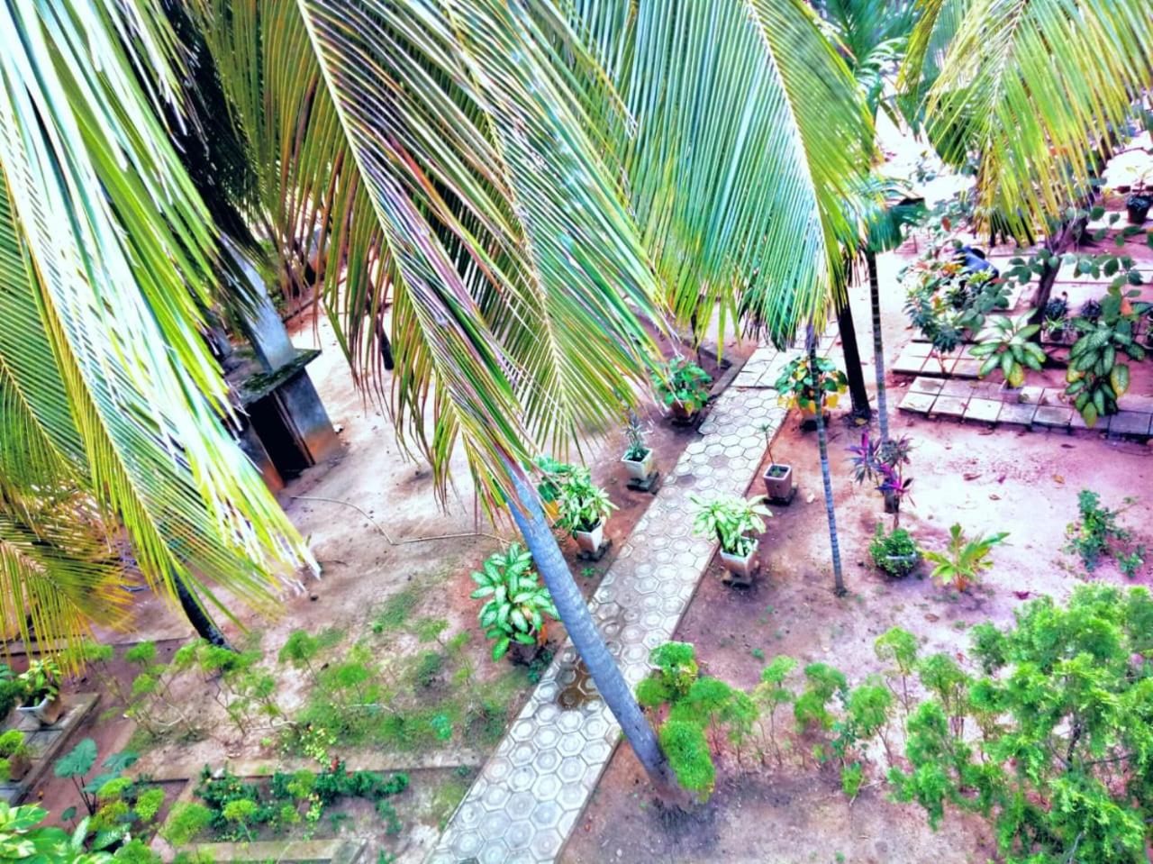 Palm Beach Resort by Yosha Guest