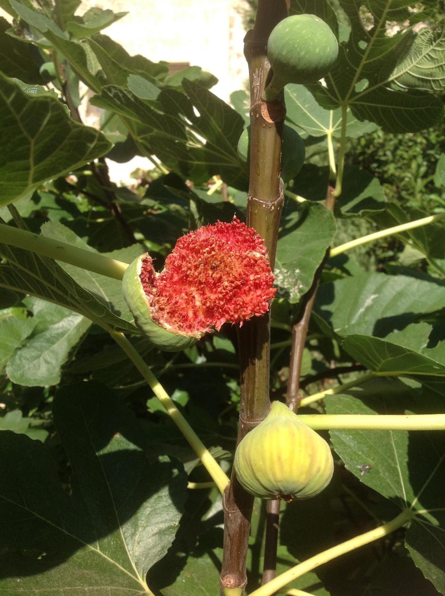 Photo 47