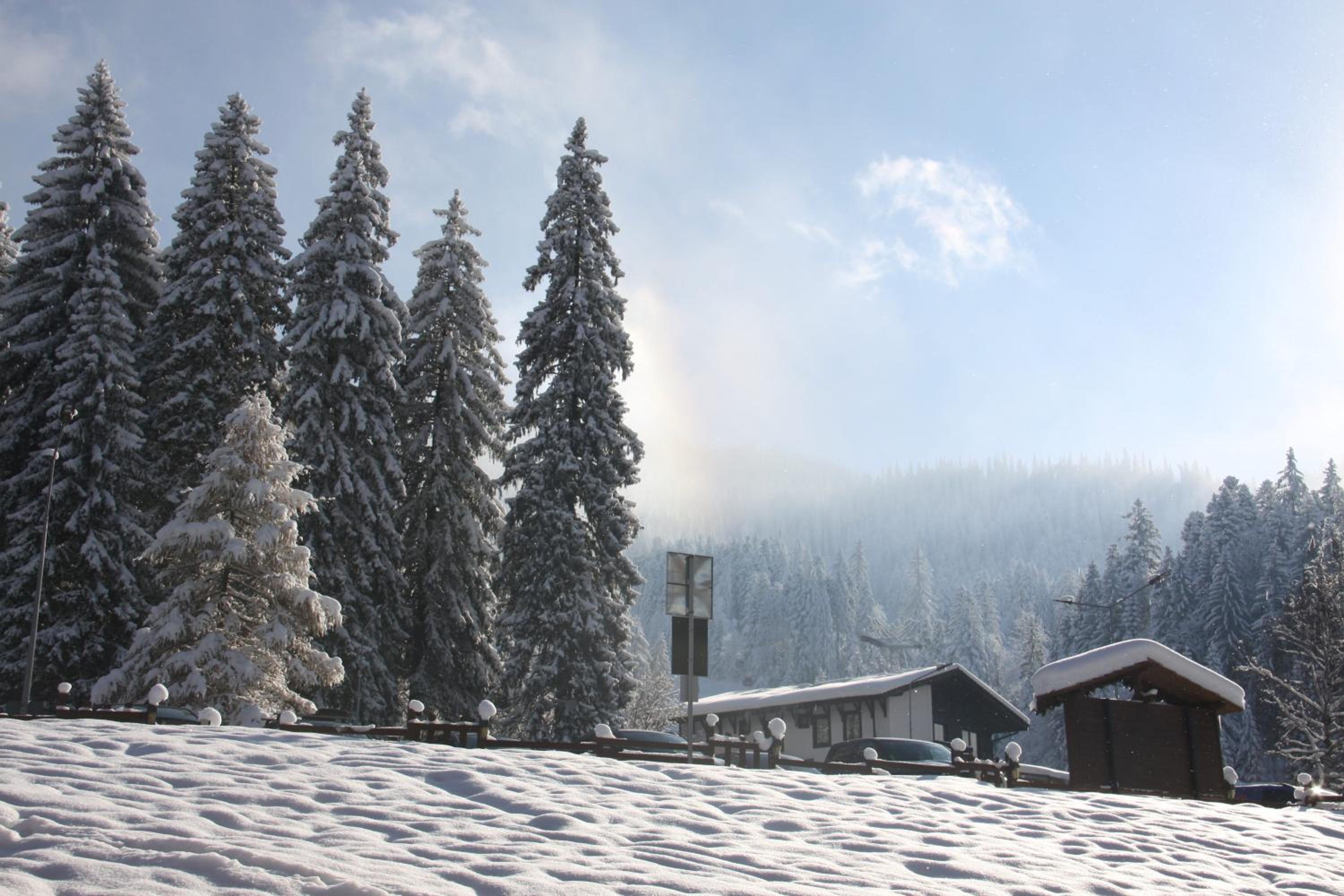 Silver Mountain