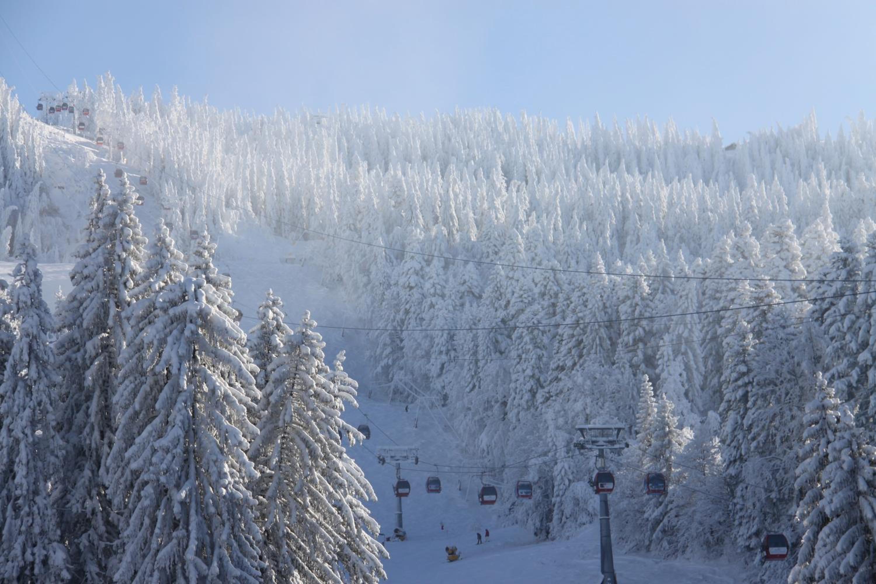 Silver Mountain