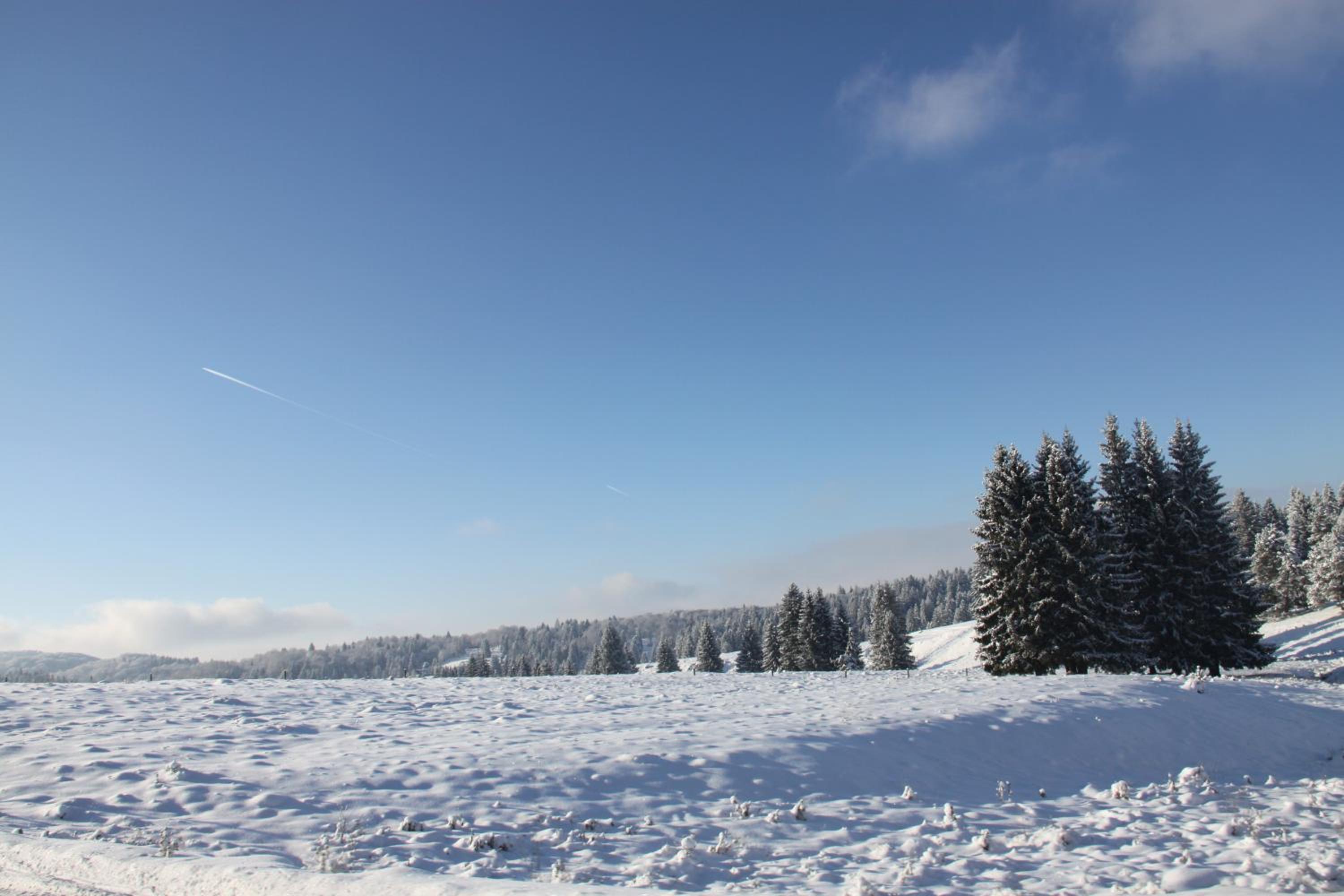 Silver Mountain