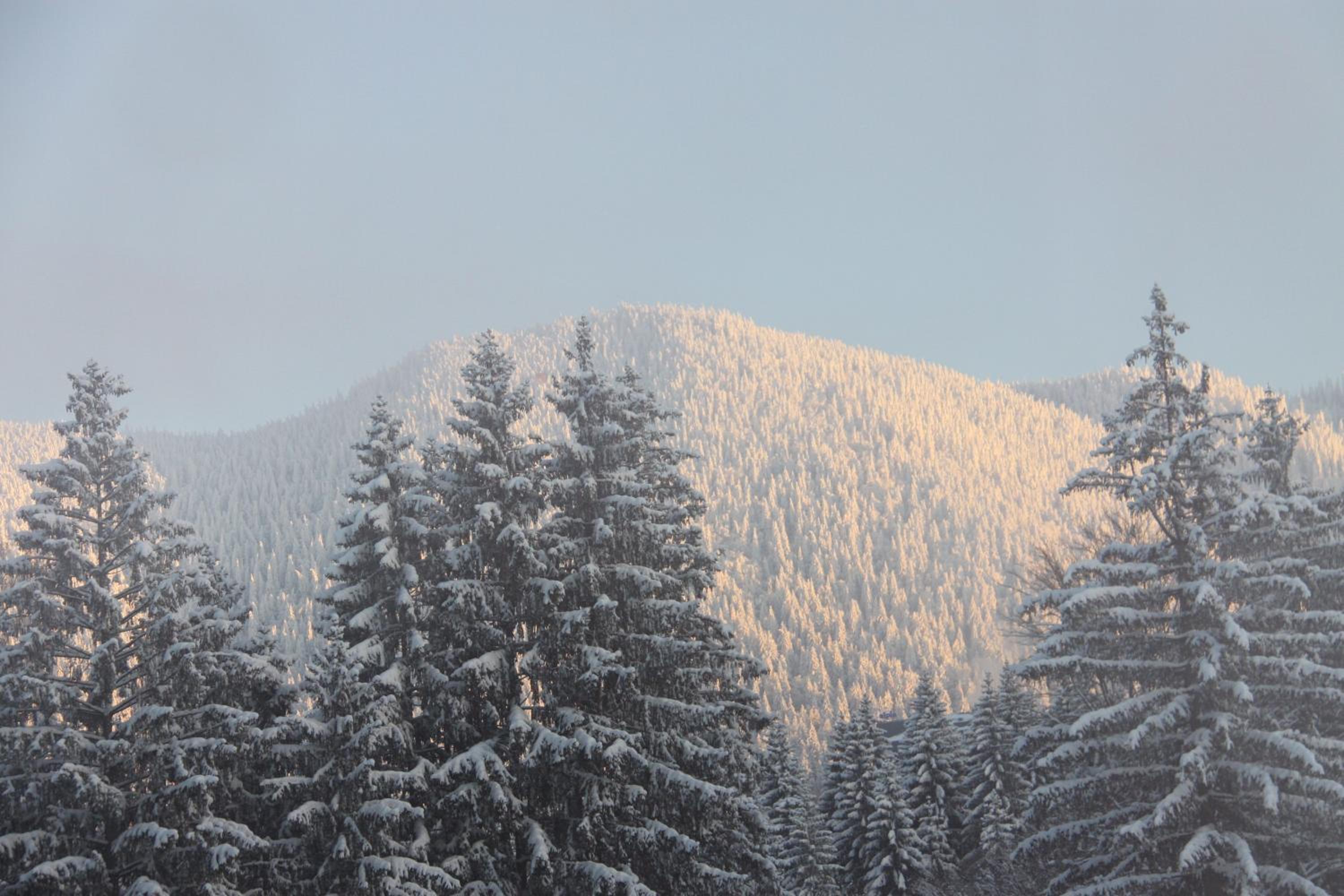 Silver Mountain